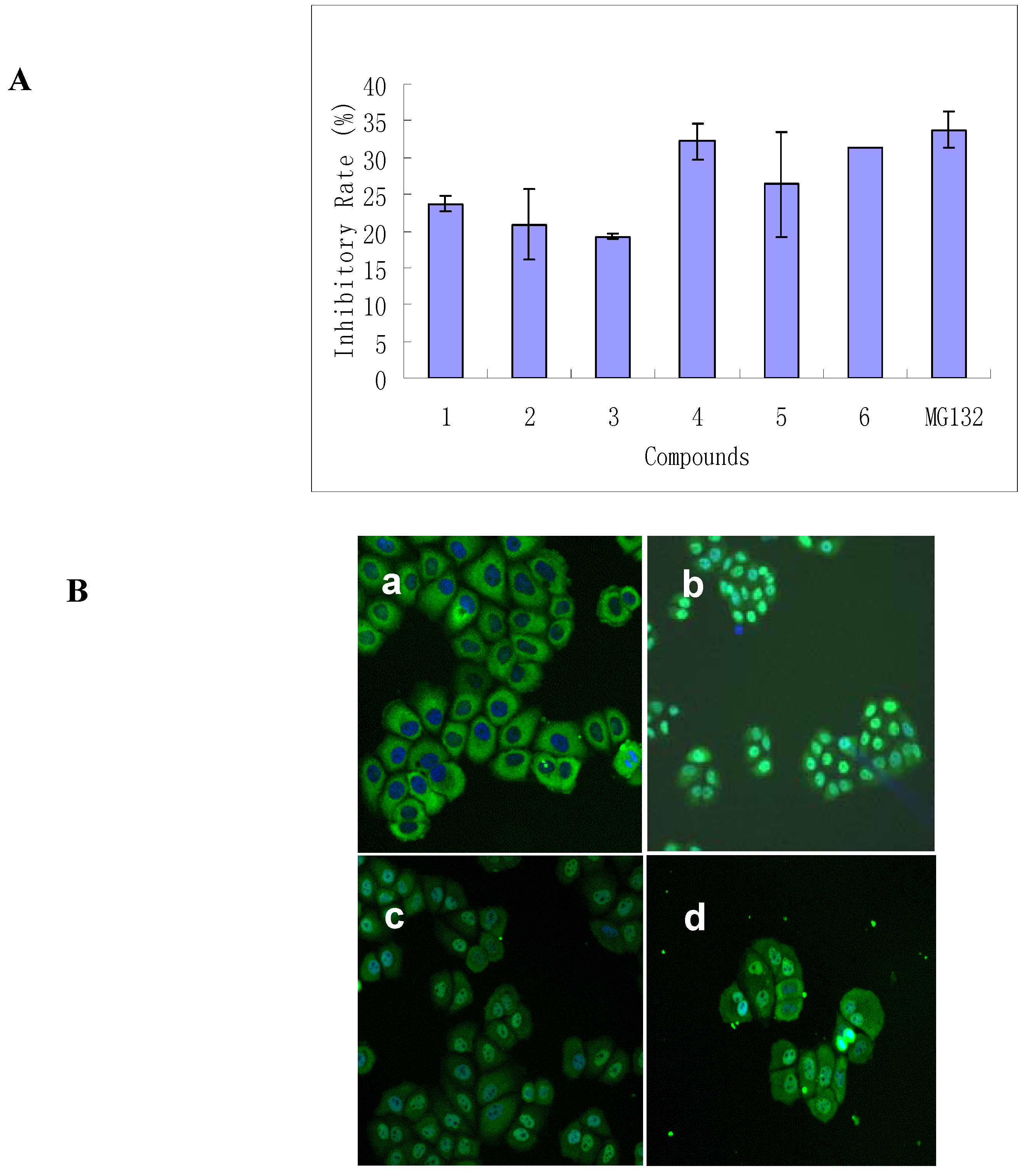 Molecules 12 00582 g002