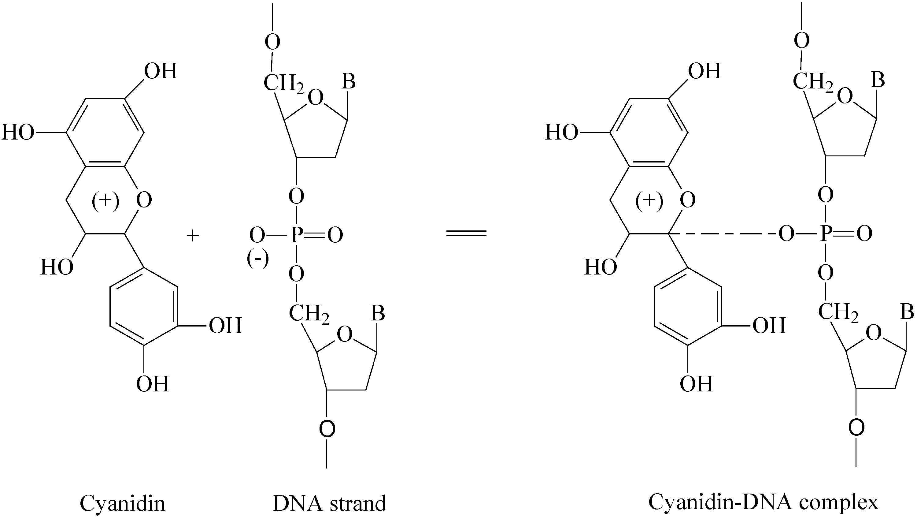Molecules 12 00745 g005 550