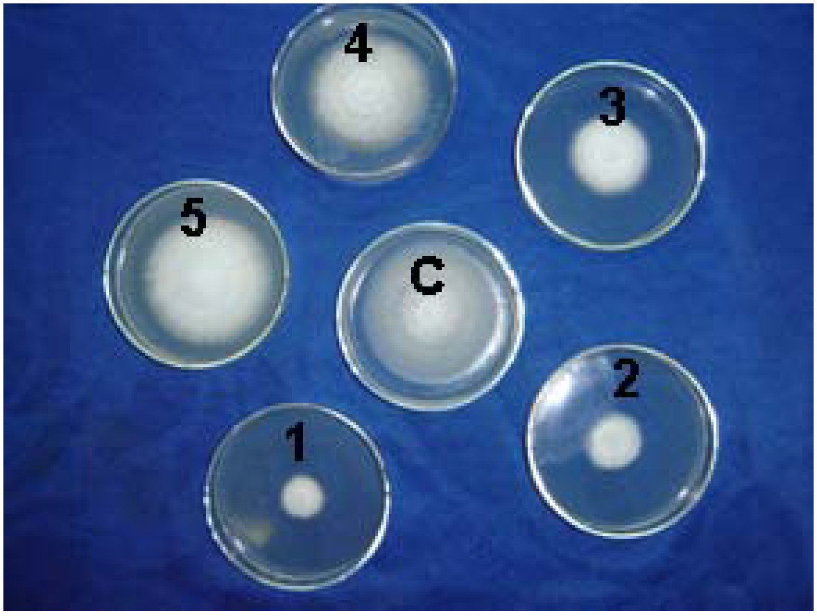 Molecules 12 00965 g001