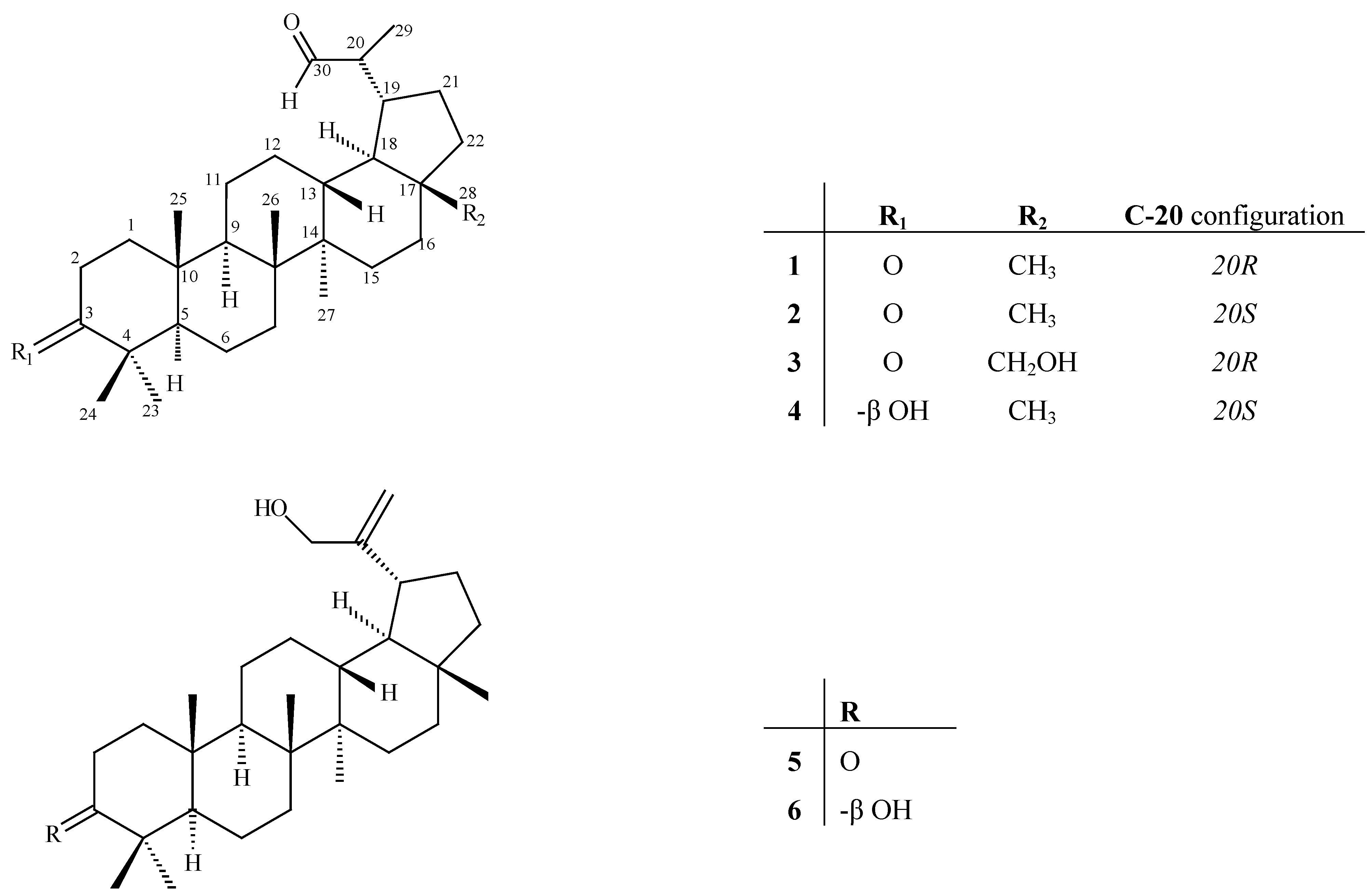 Molecules 12 01035 g001