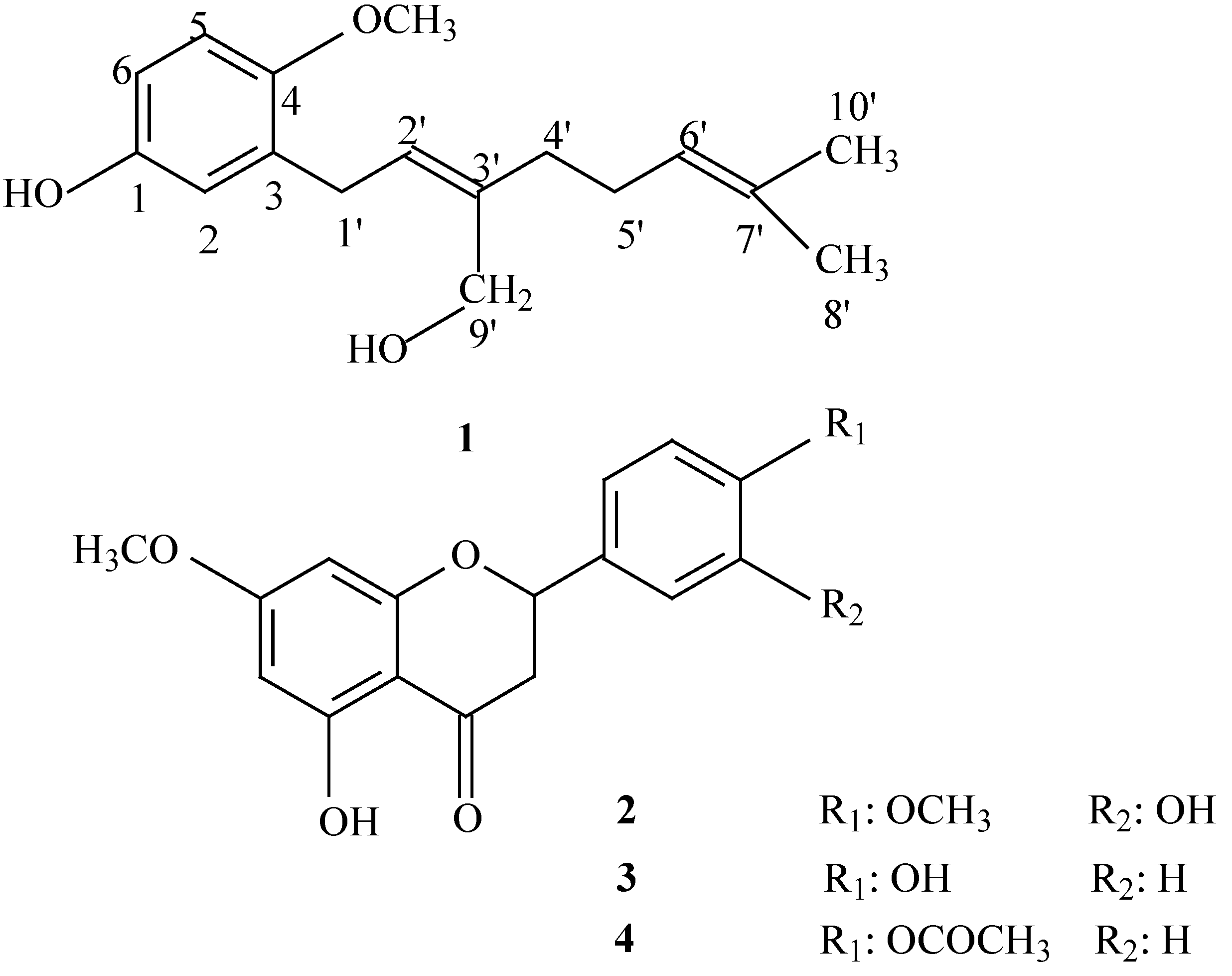 Molecules 12 01057 g001