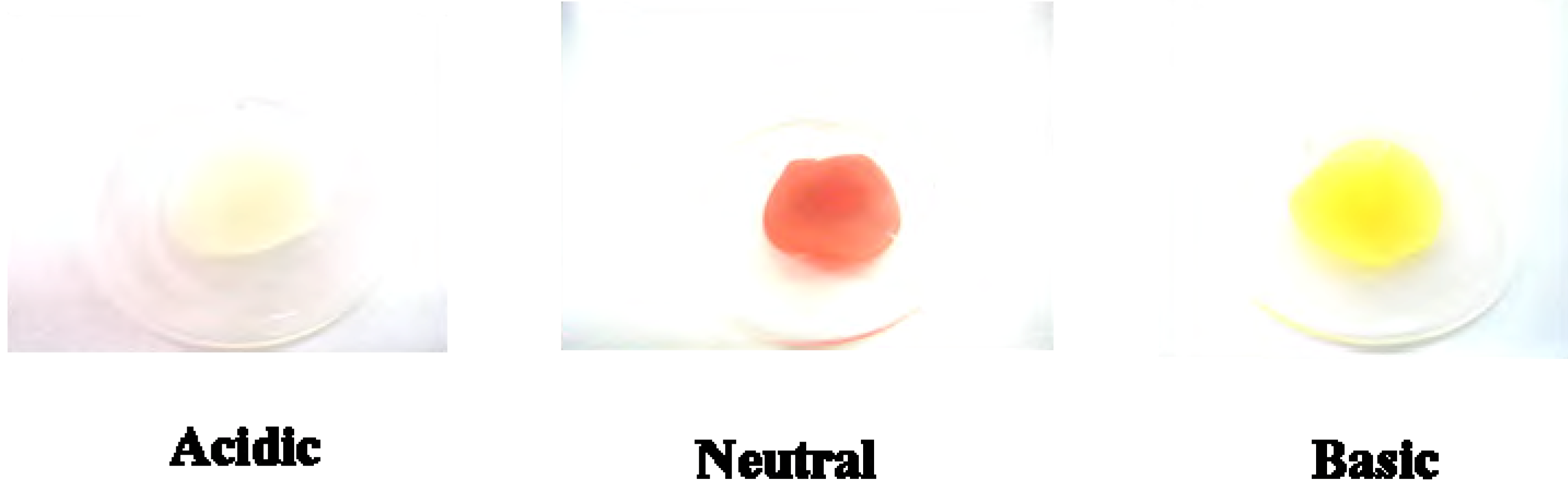 Molecules 12 01316 g004 550