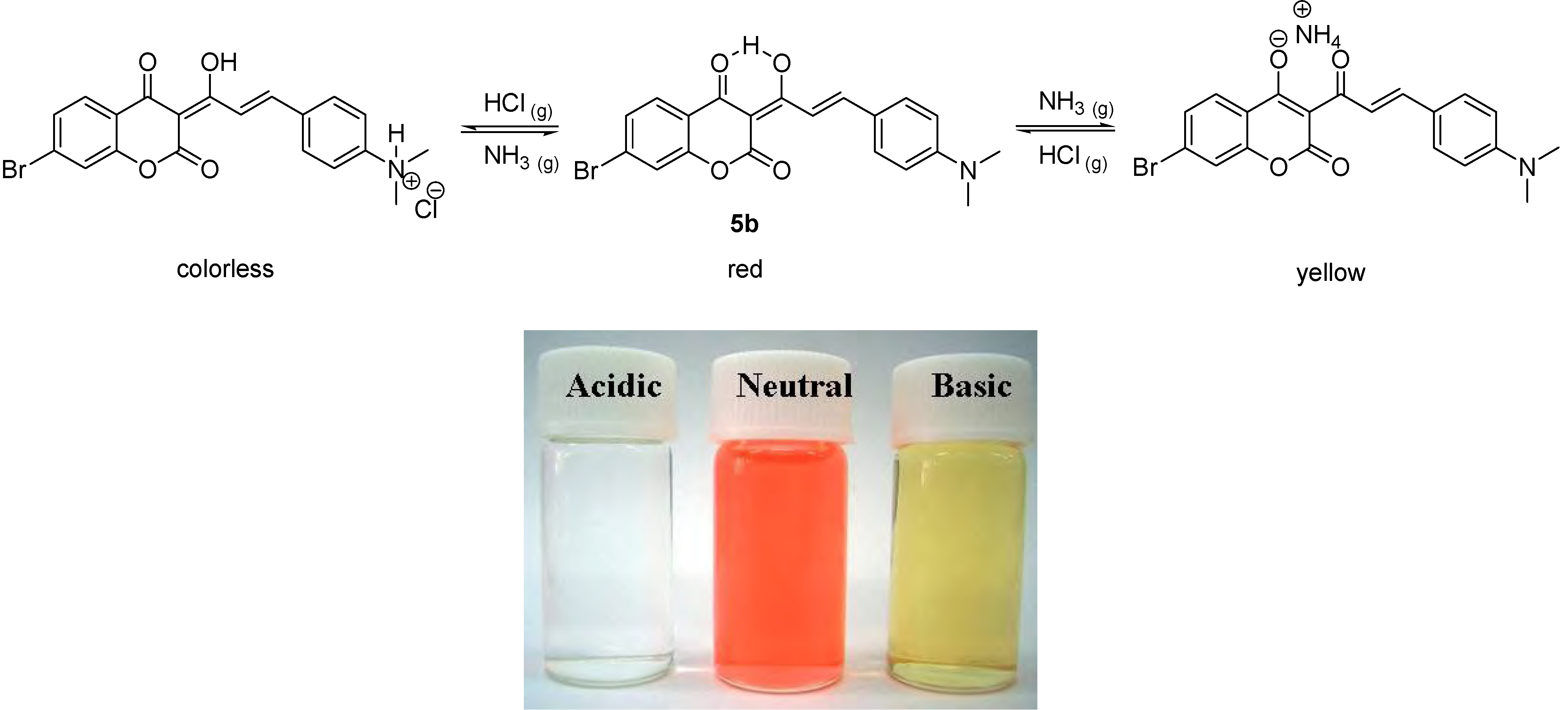 Molecules 12 01316 g007 550