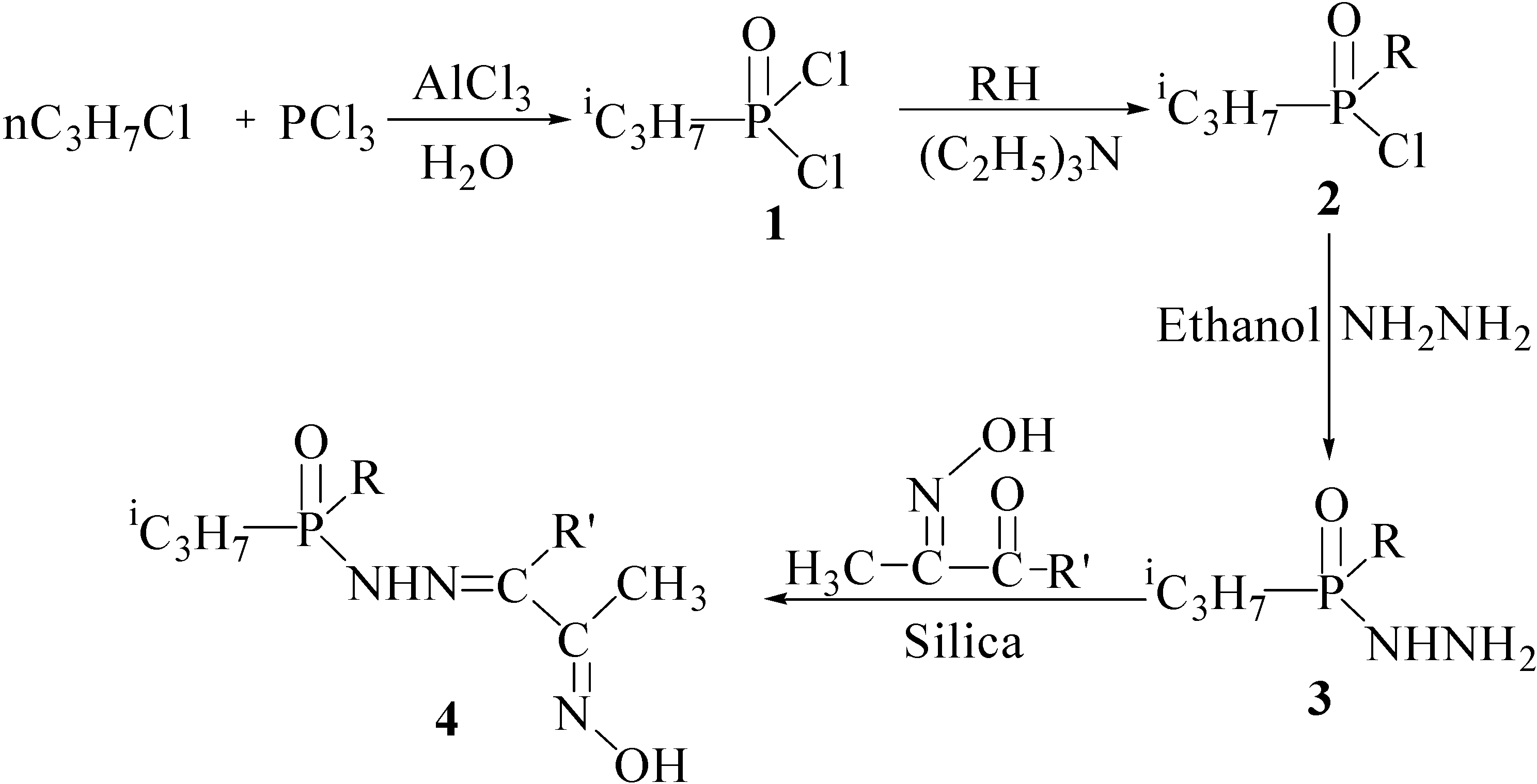 Molecules 12 01334 g001