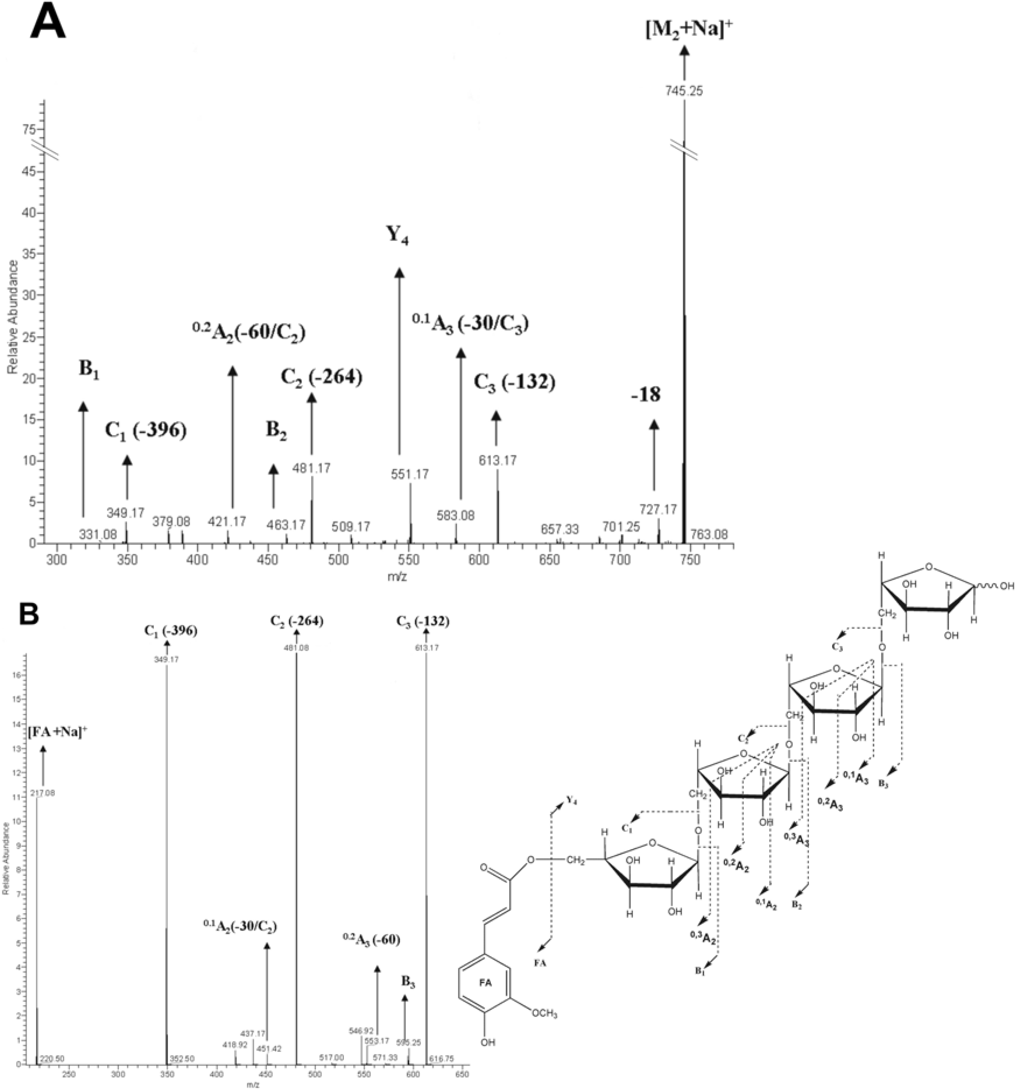 Molecules 12 01367 g002 550