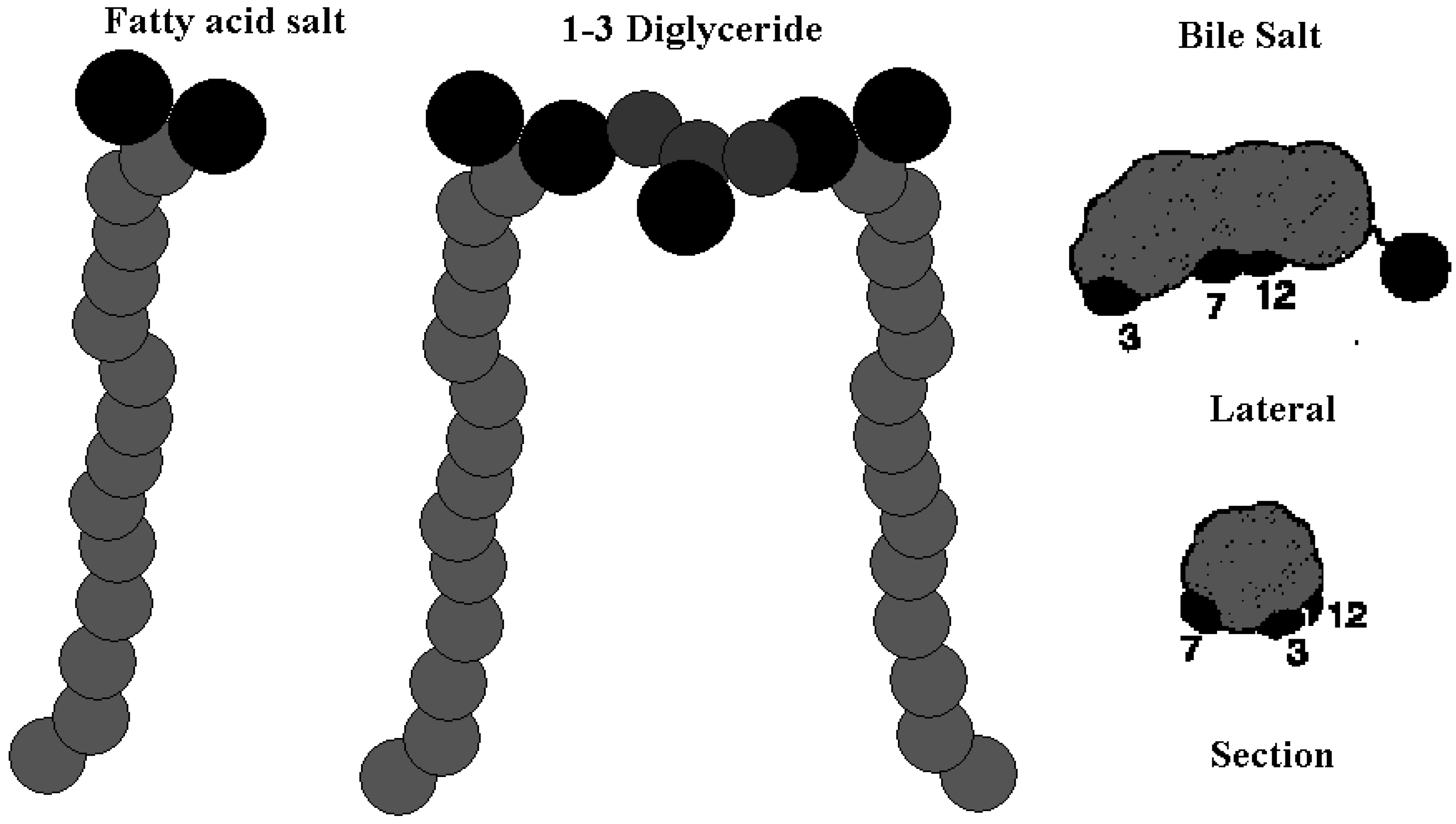 Molecules 12 01731 g001