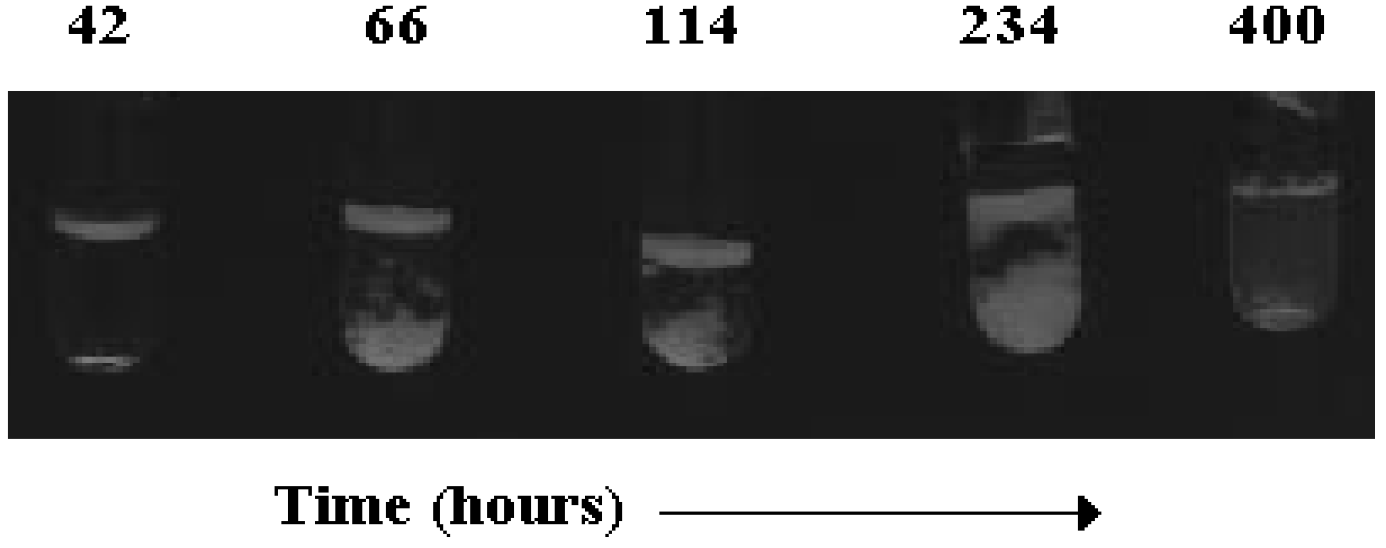 Molecules 12 01731 g005