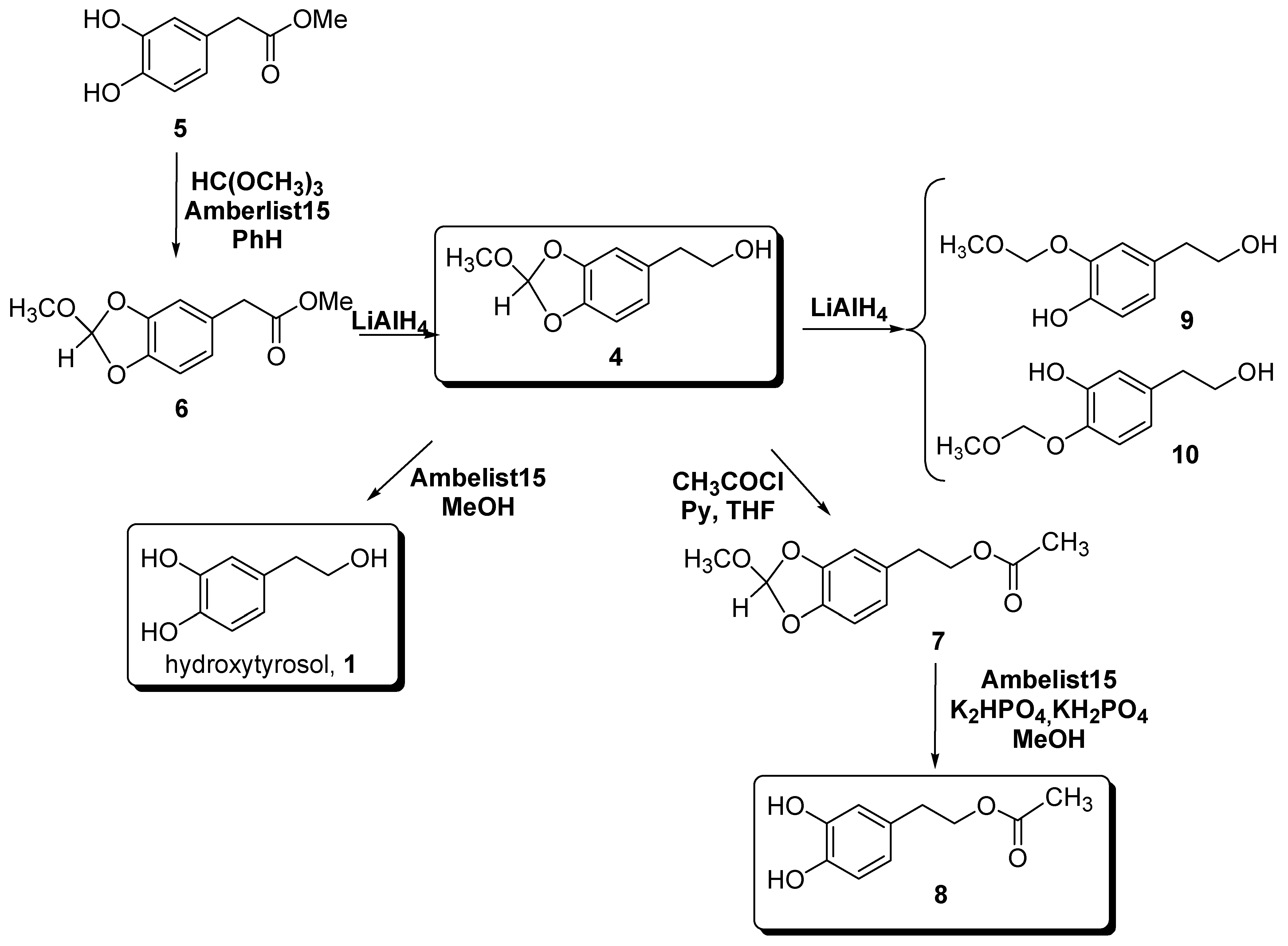 Molecules 12 01762 g002