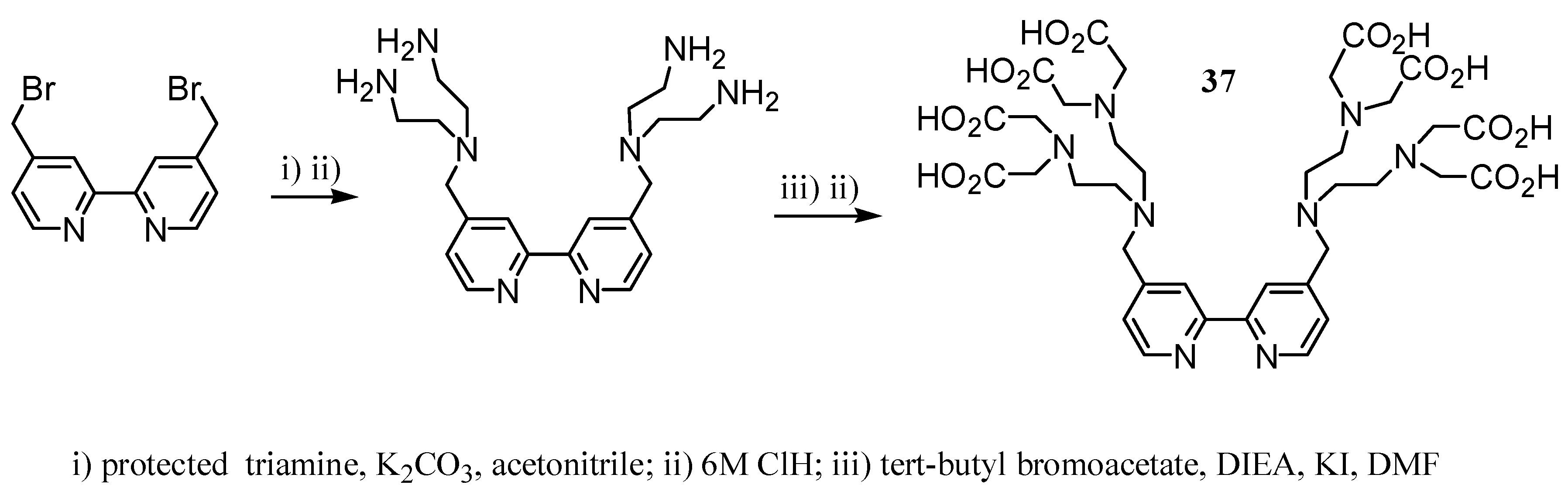 Molecules 12 01771 g017