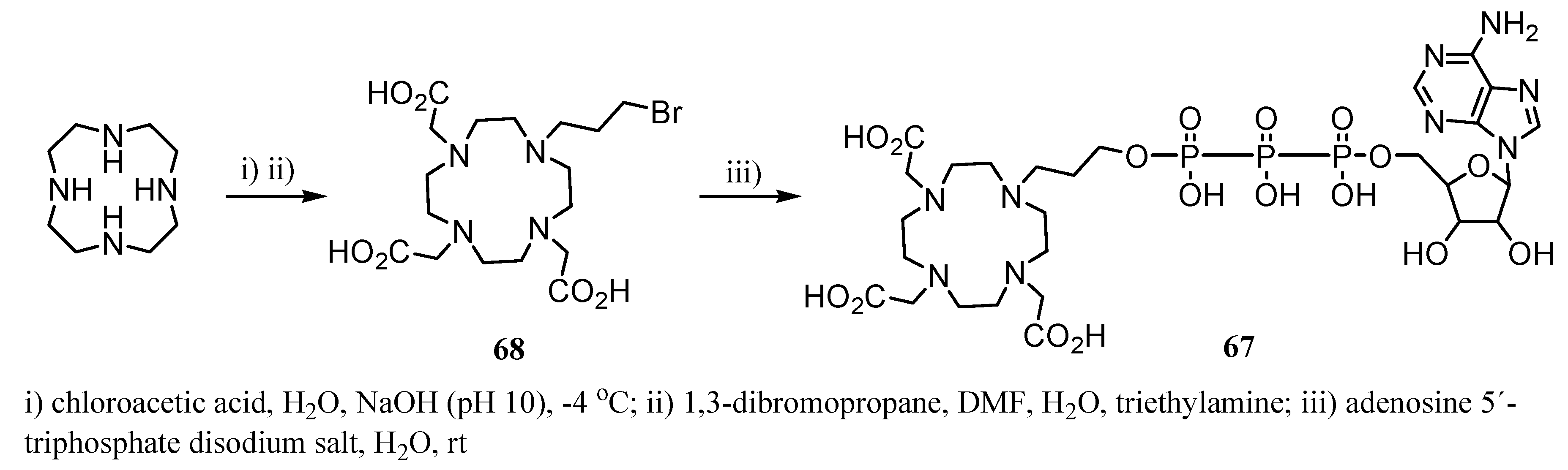 Molecules 12 01771 g026
