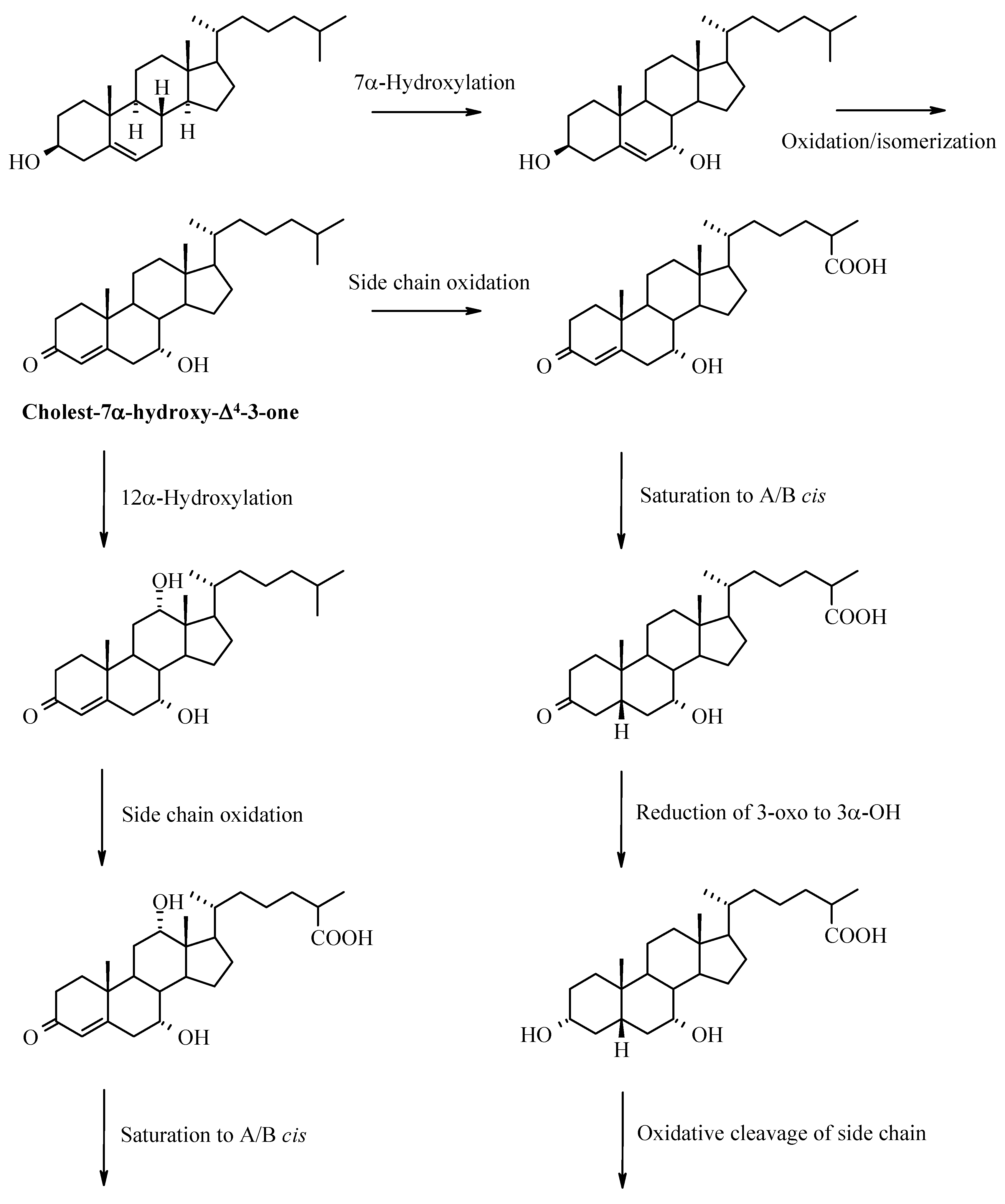 Molecules 12 01859 g011a