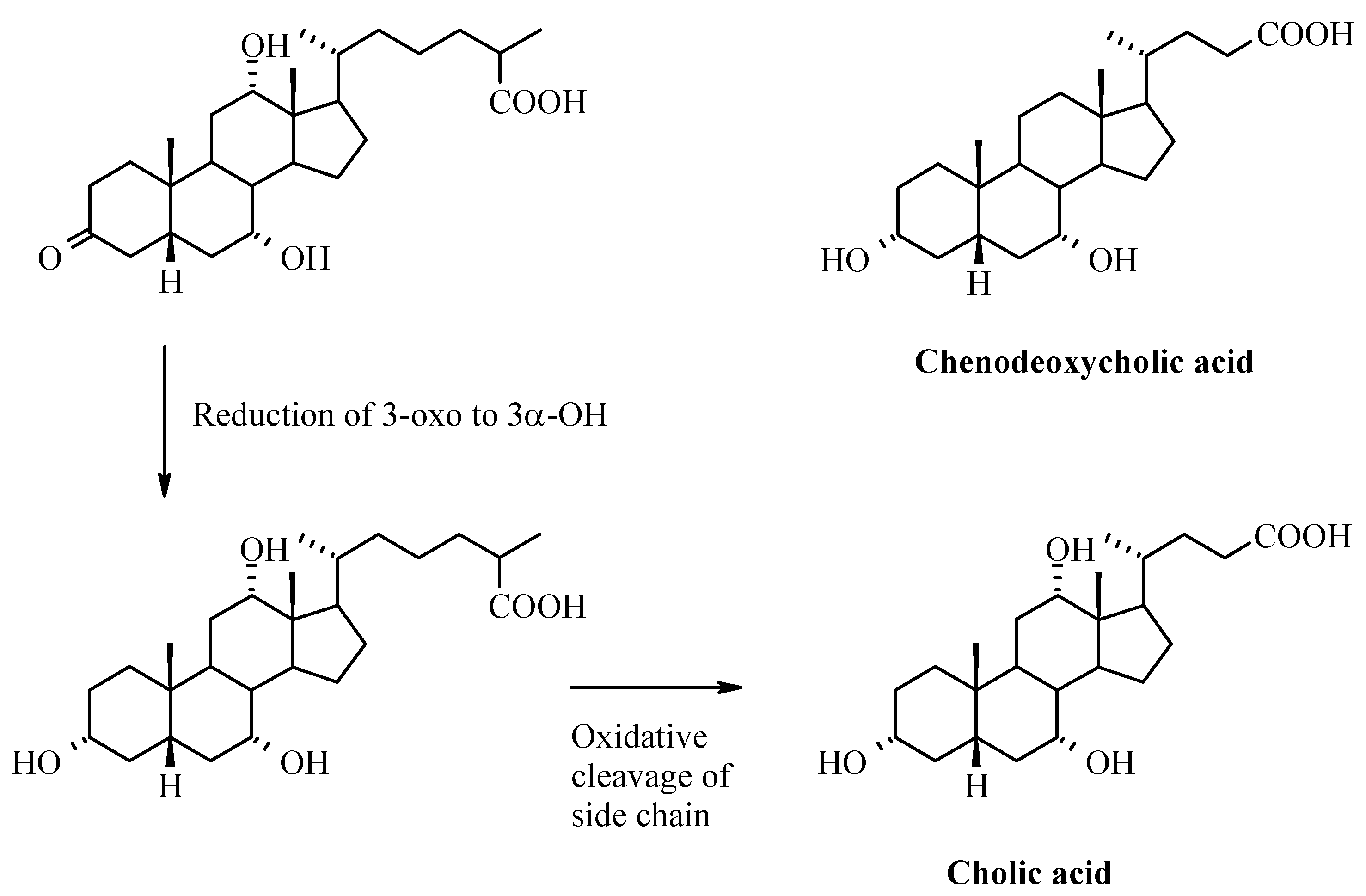 Molecules 12 01859 g011b