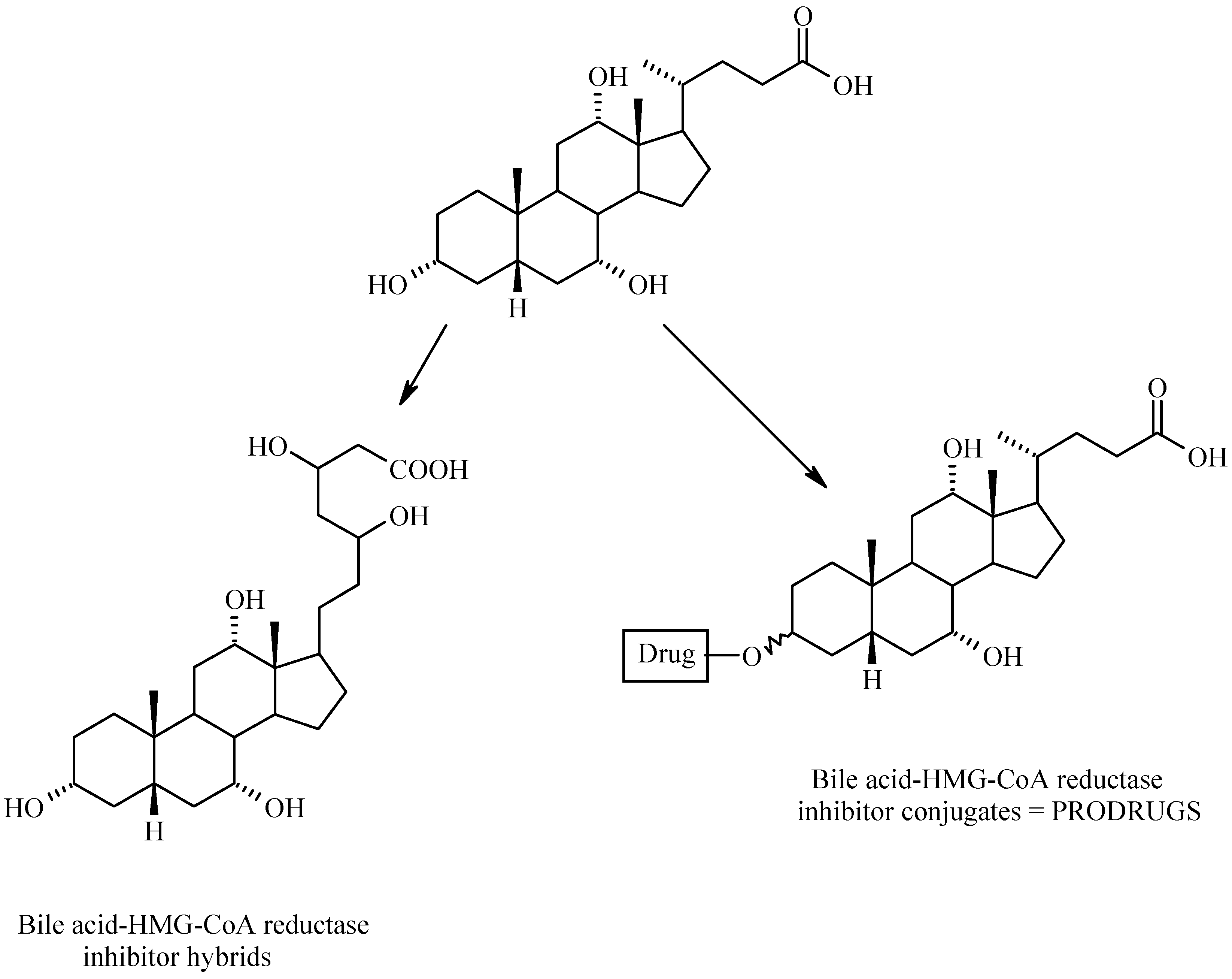 Molecules 12 01859 g013