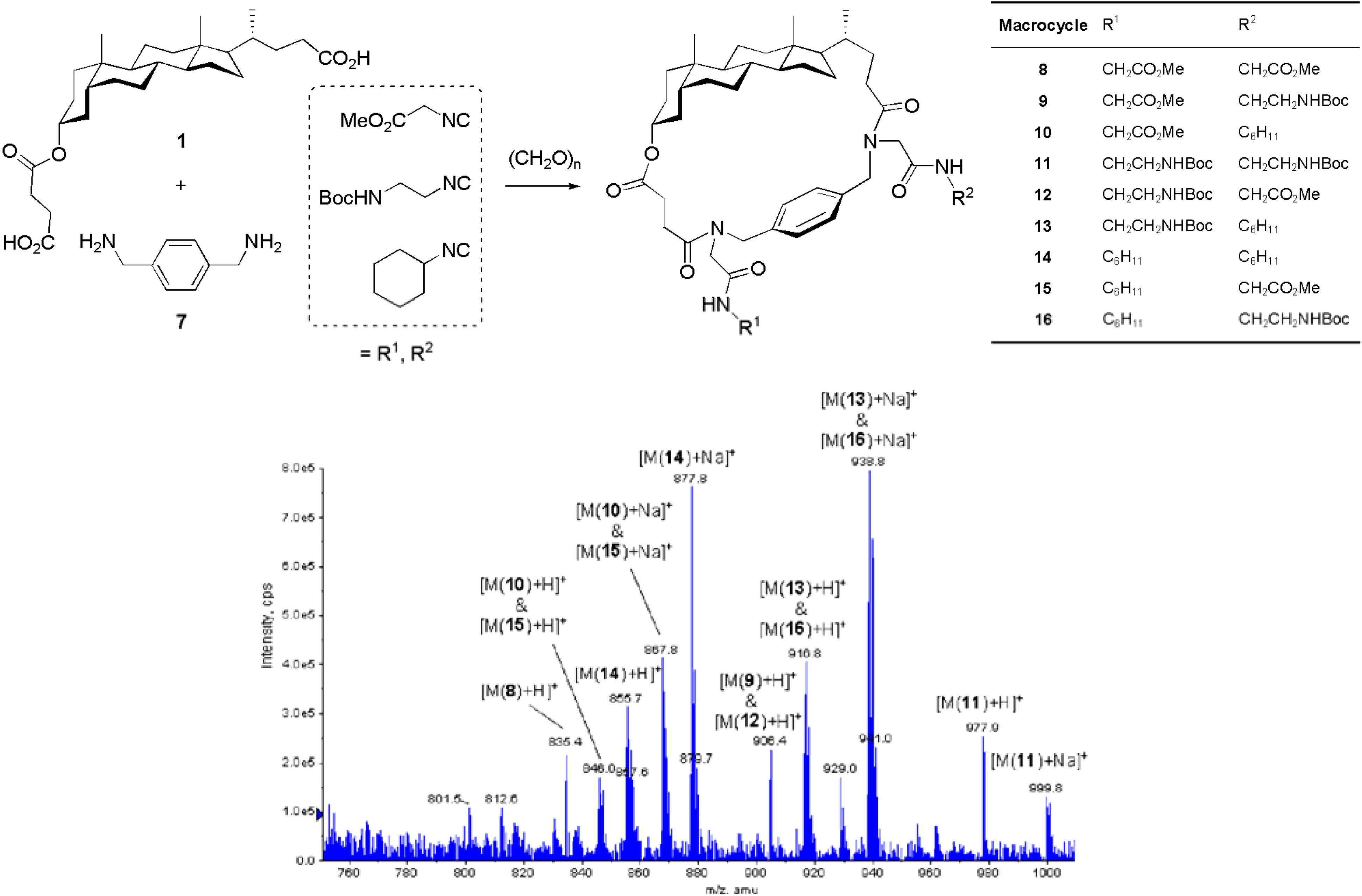 Molecules 12 01890 g003