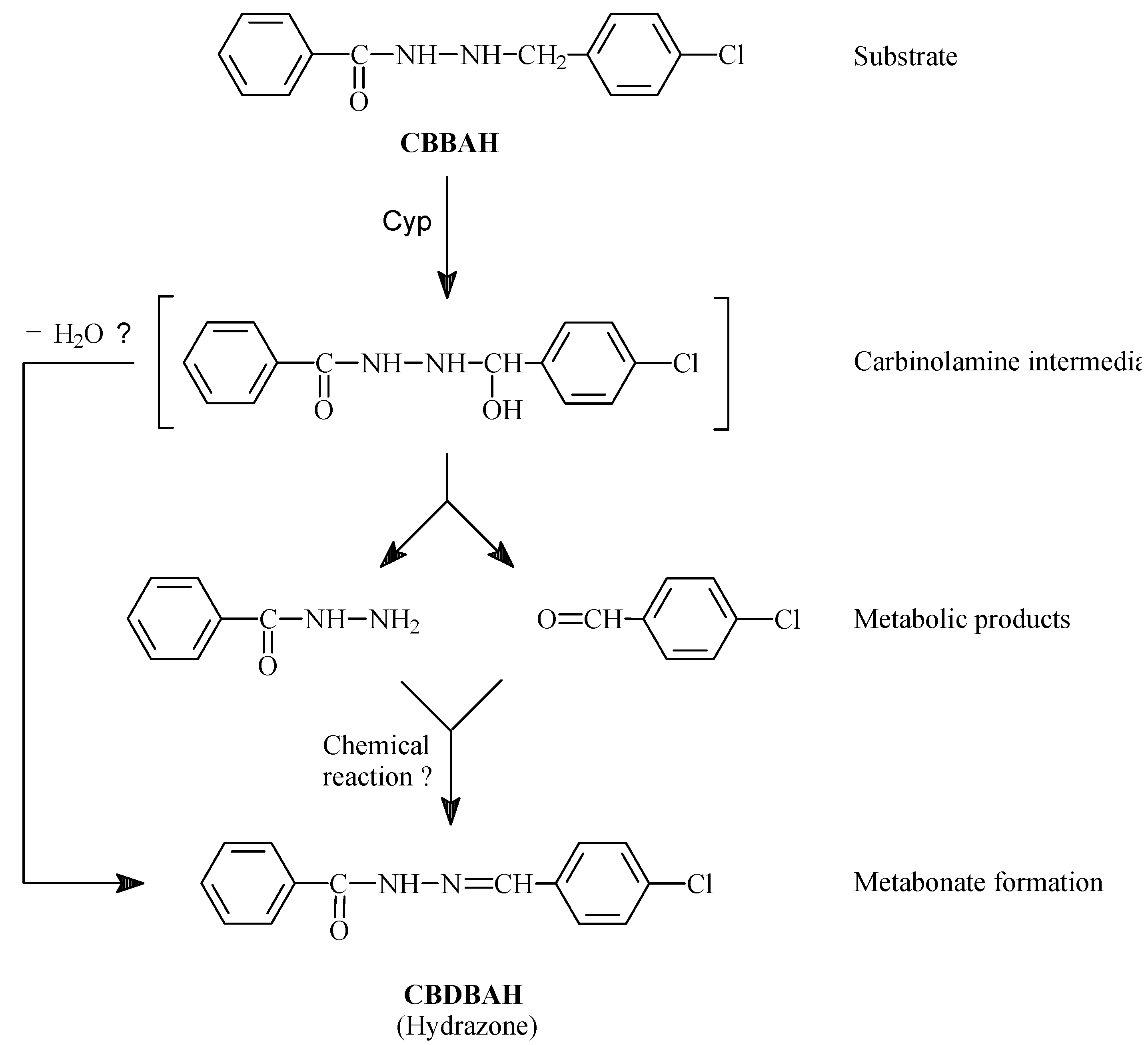 Molecules 12 01910 g004
