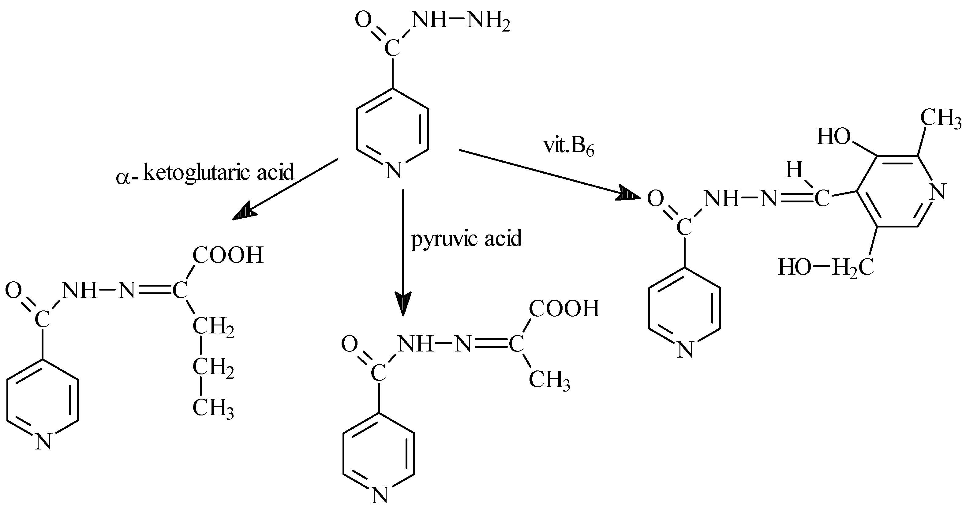Molecules 12 01910 g005