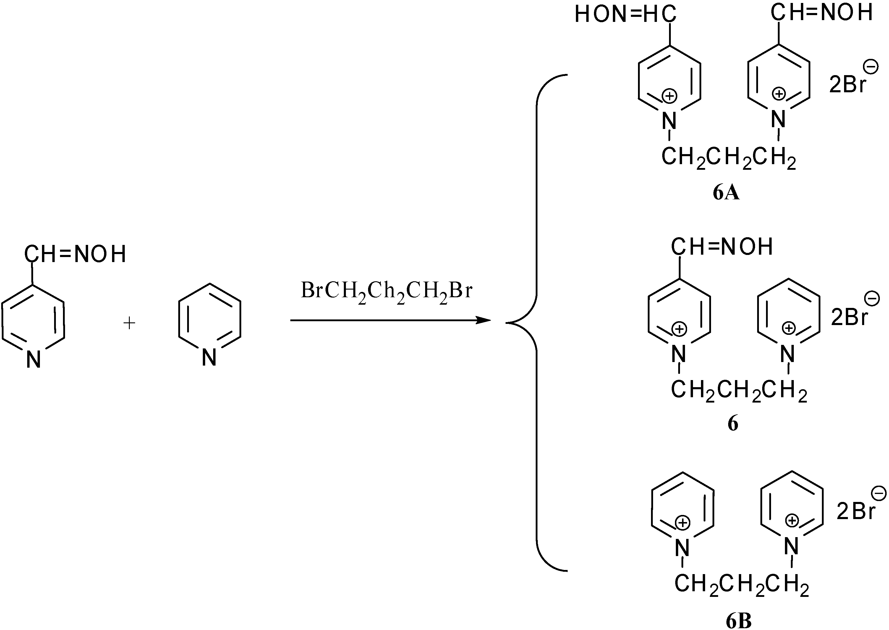 Molecules 12 01964 g004