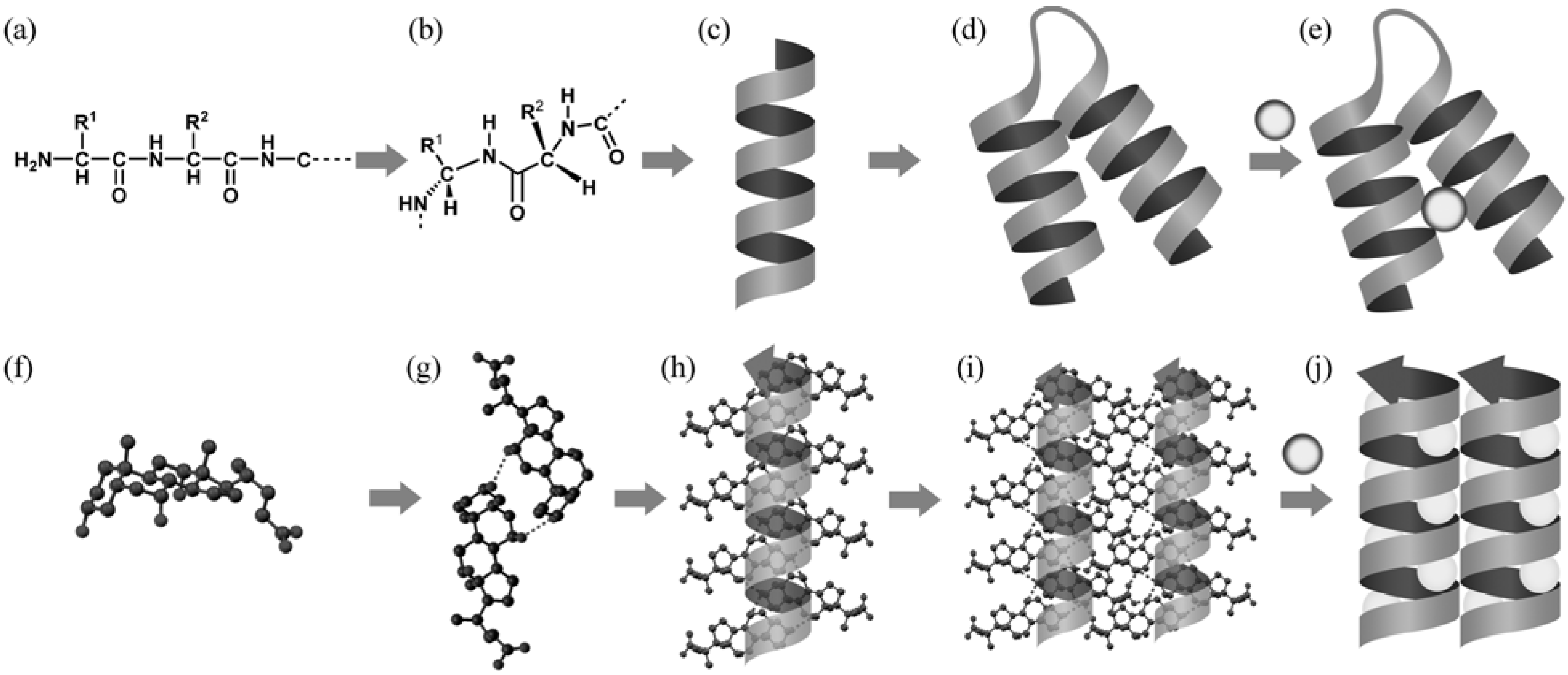 Molecules 12 01973 g006