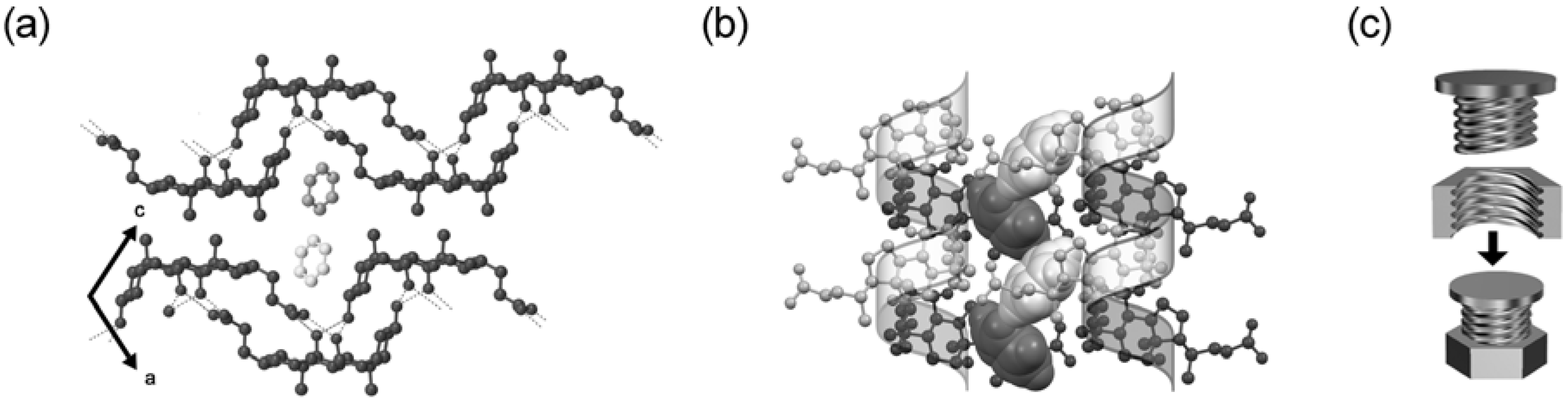 Molecules 12 01973 g017