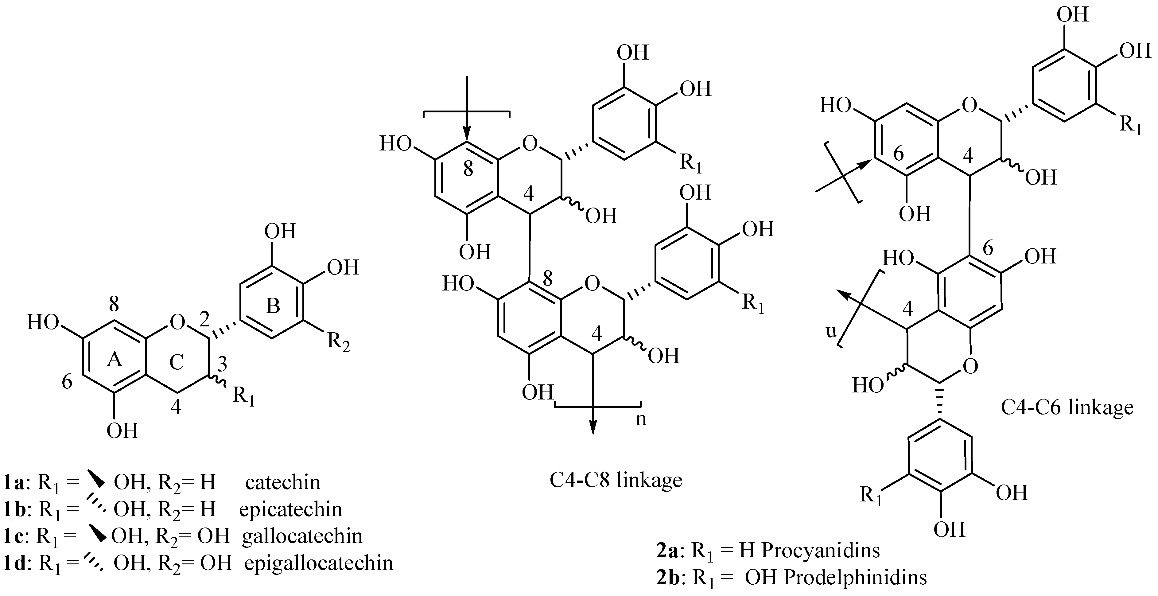 Molecules 12 02228 g001