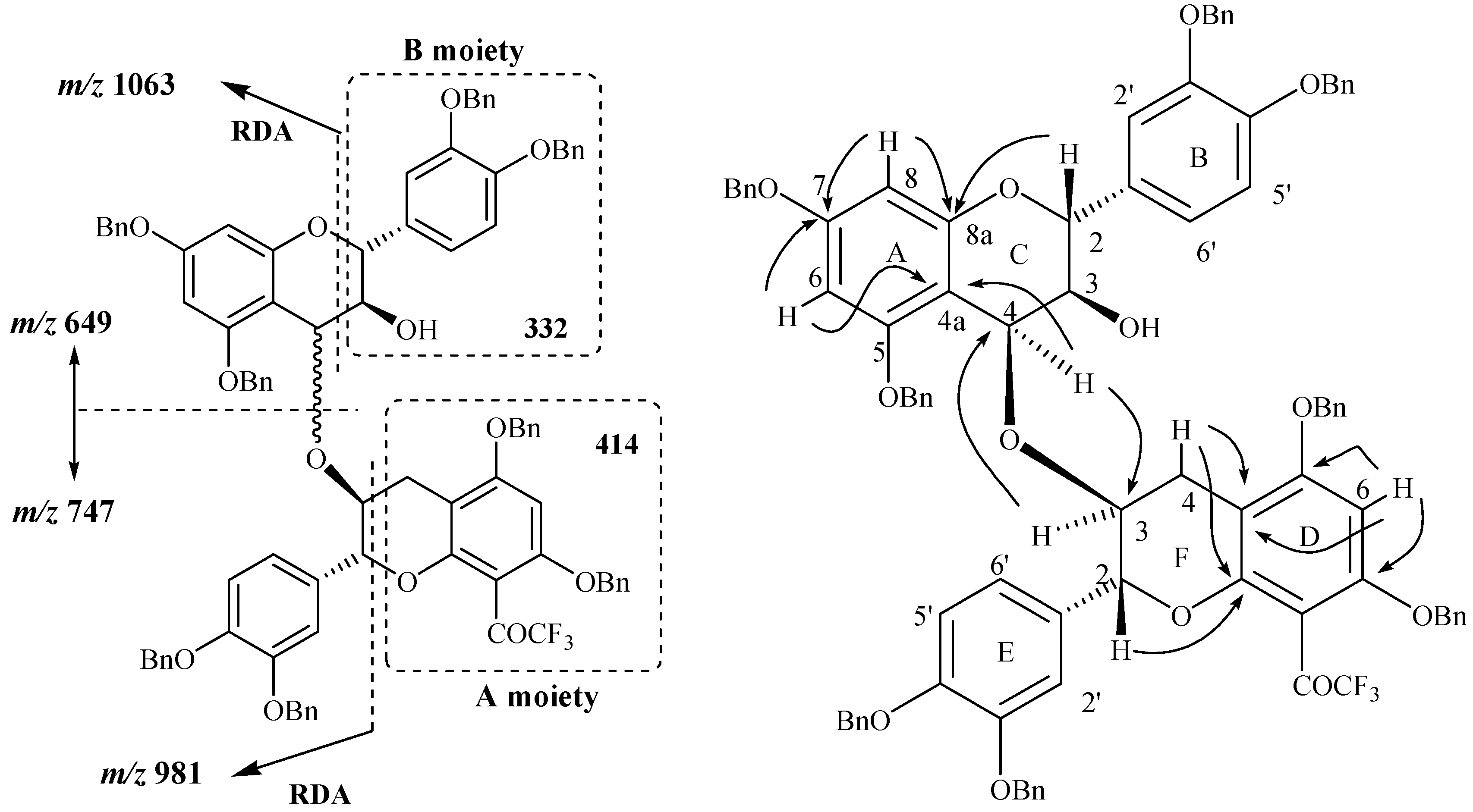 Molecules 12 02228 g005
