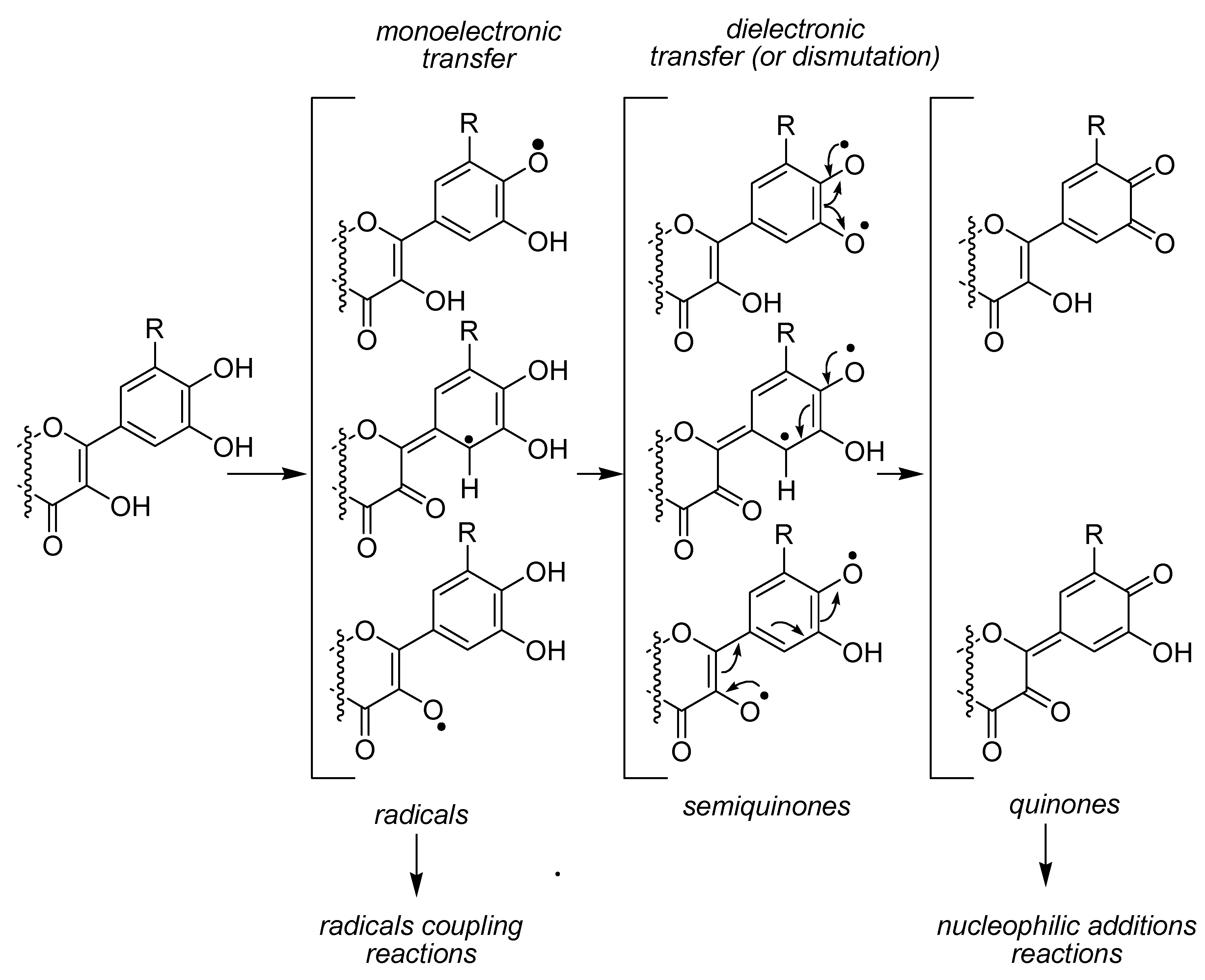Molecules 12 02228 g009