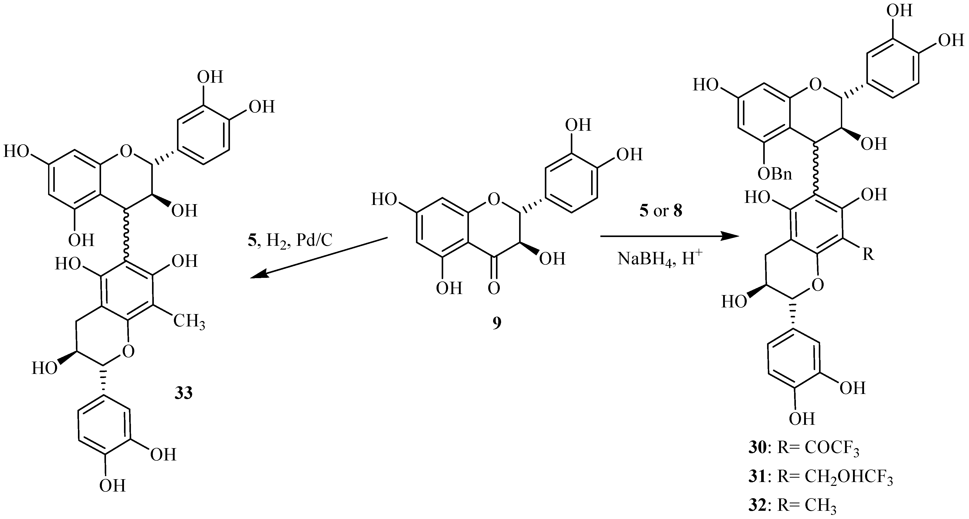 Molecules 12 02228 g019