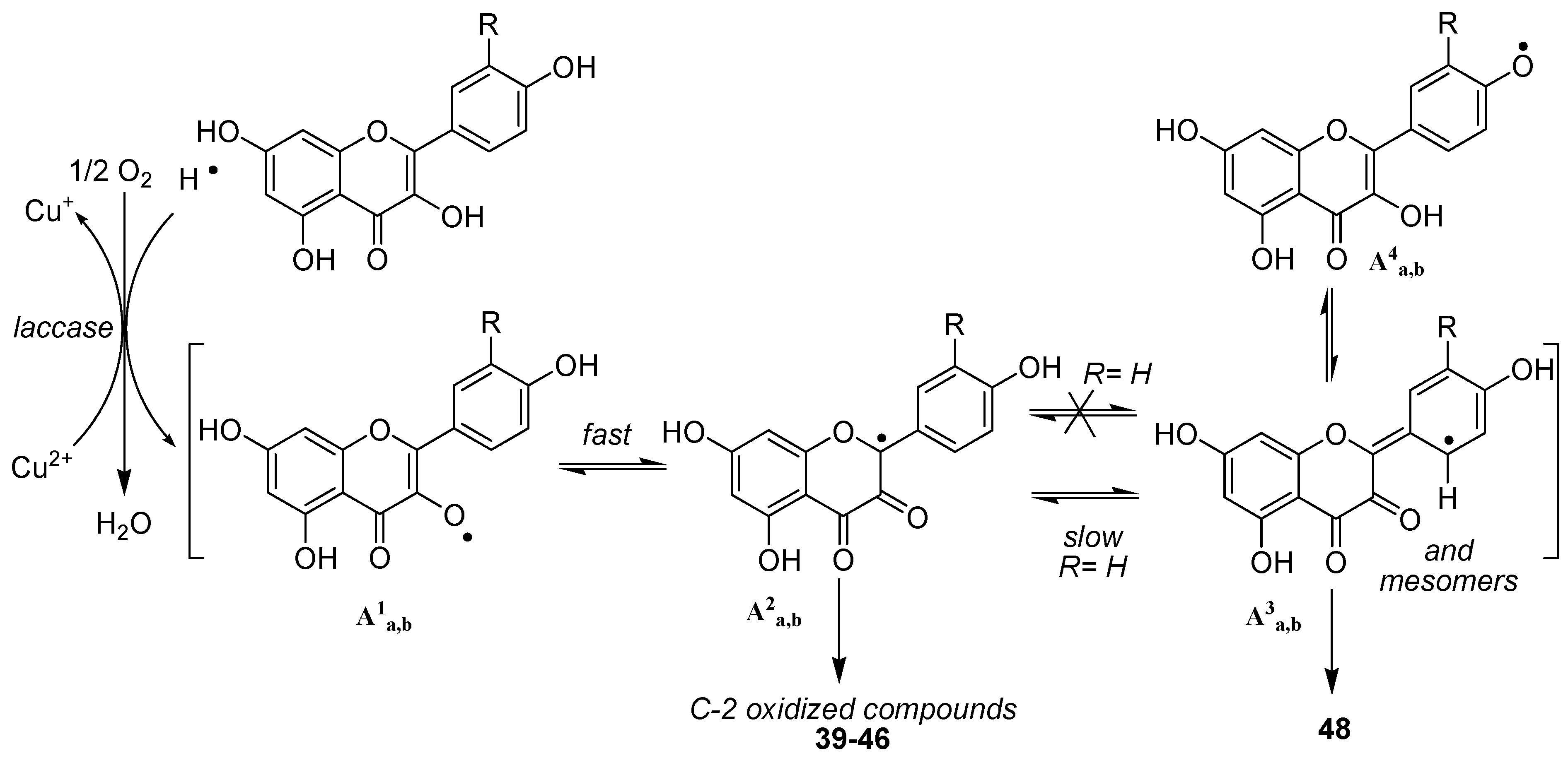 Molecules 12 02228 g020