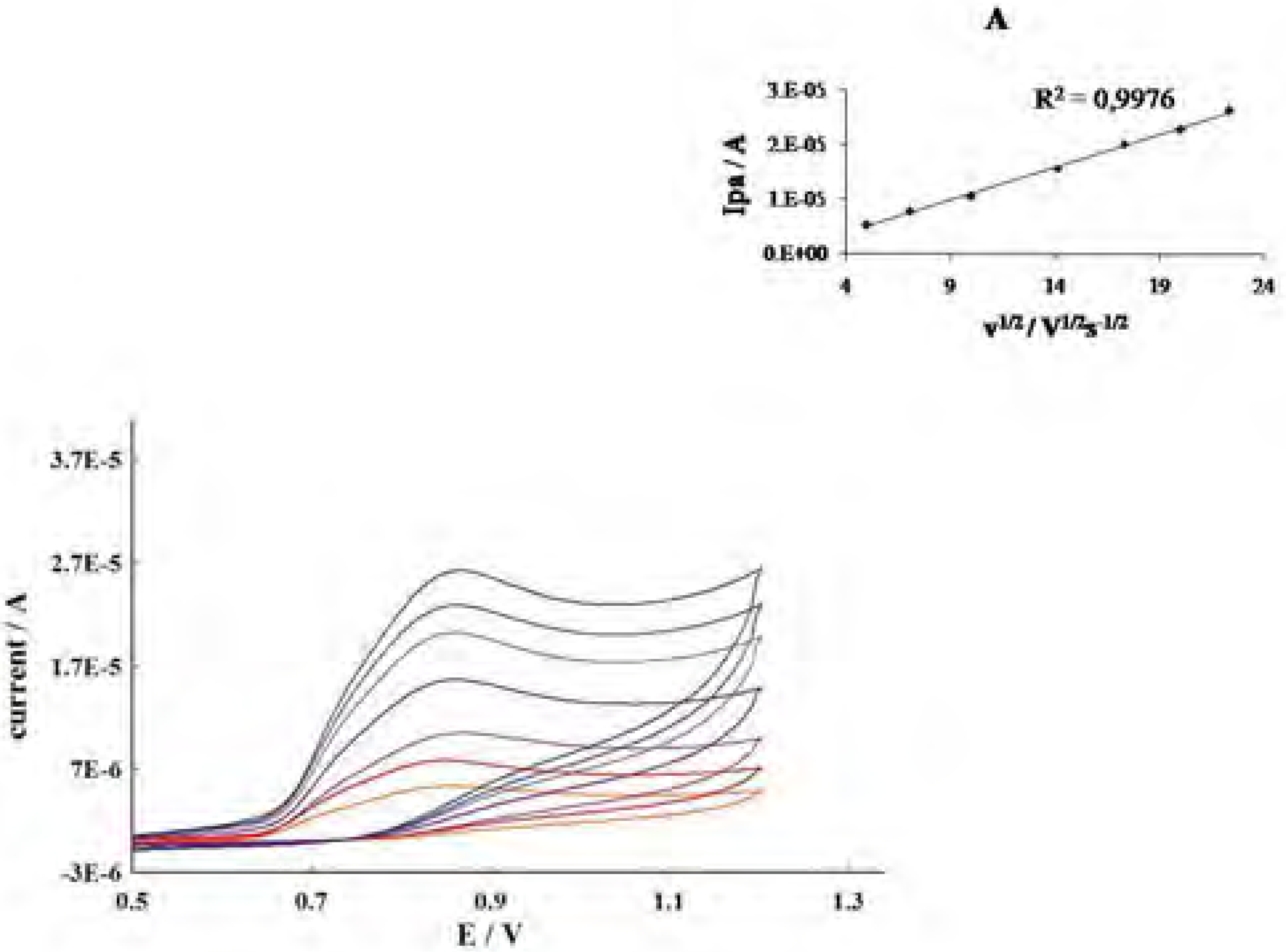 Molecules 12 02327 g002