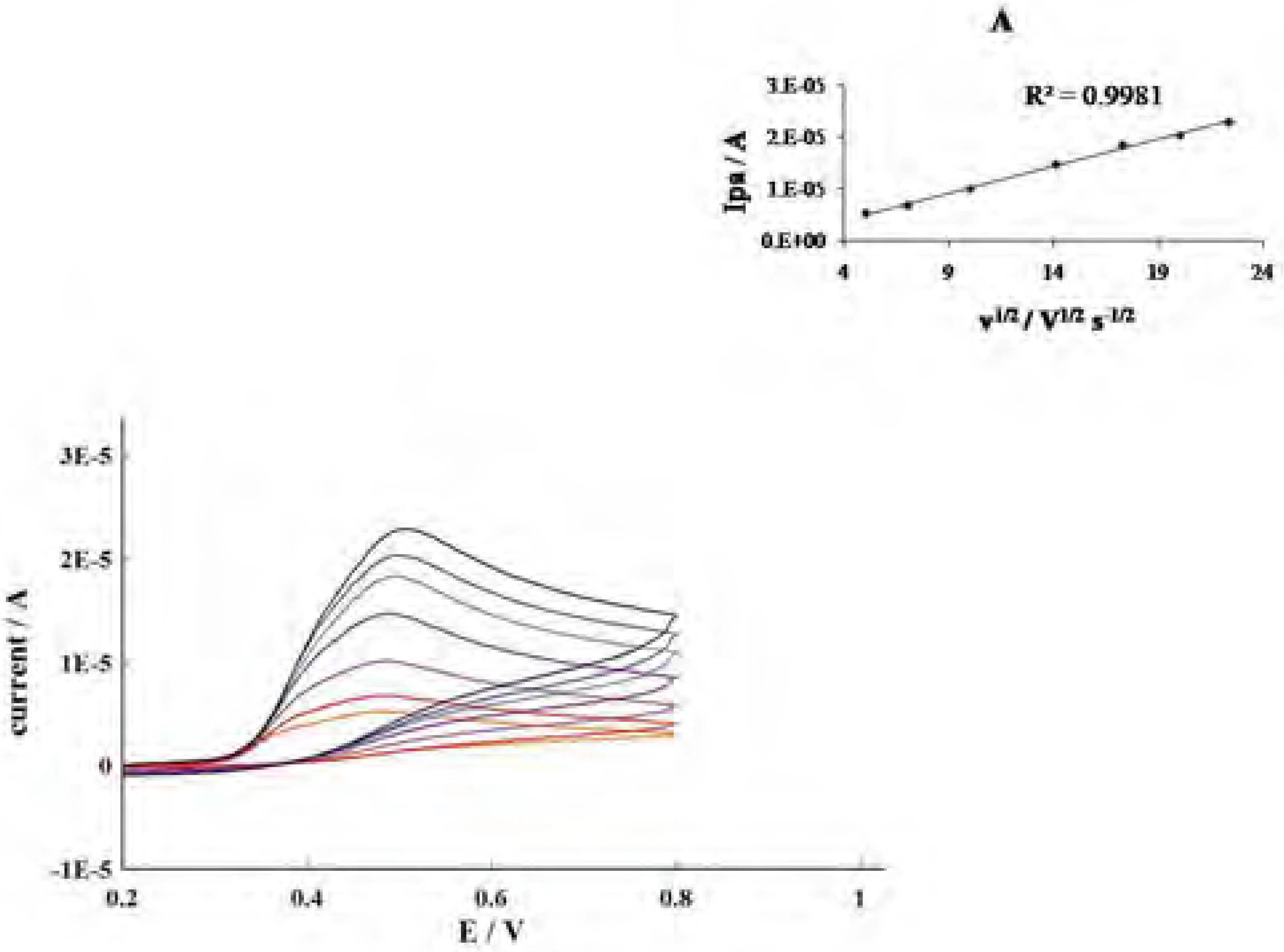 Molecules 12 02327 g006