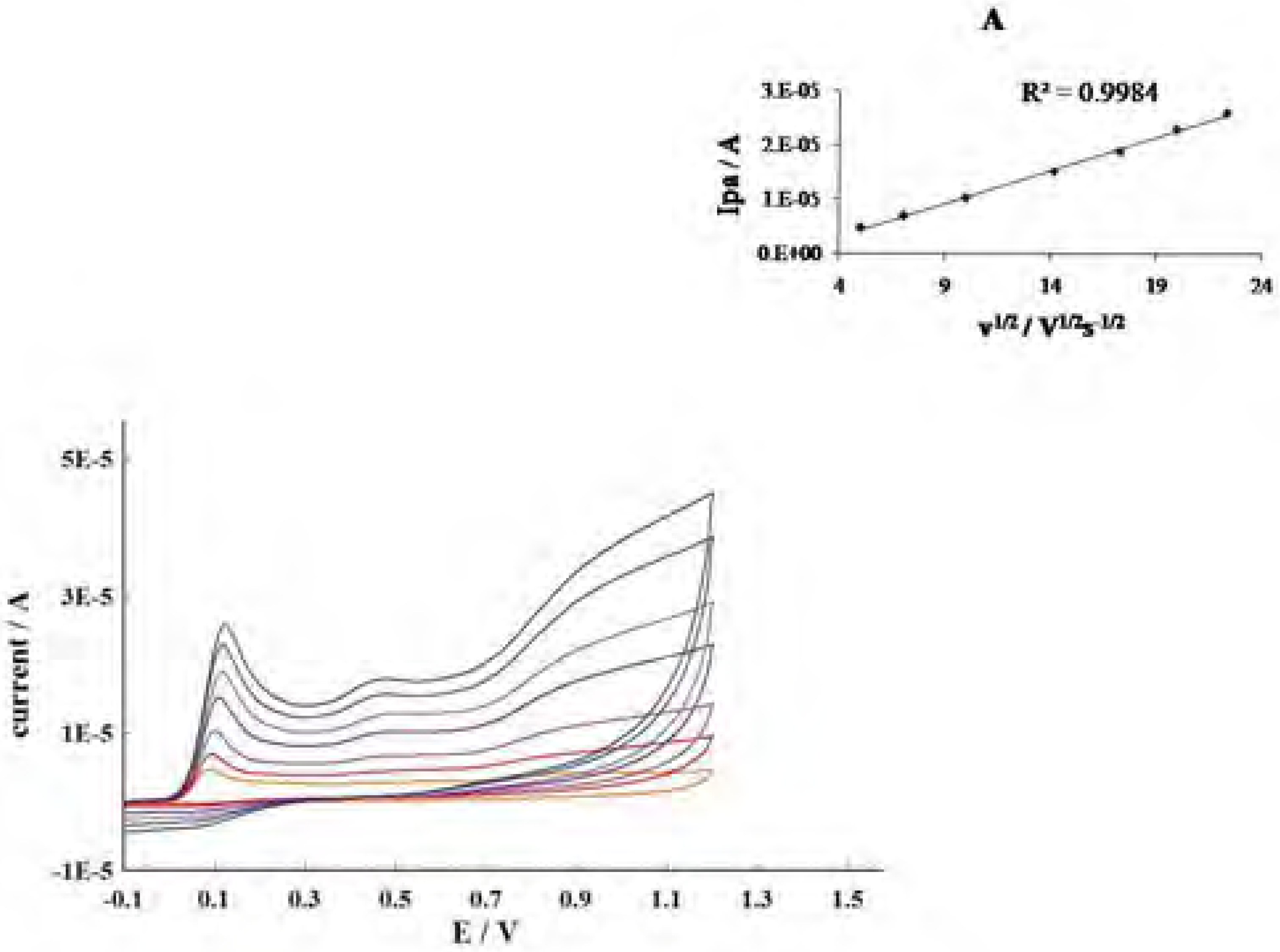 Molecules 12 02327 g009