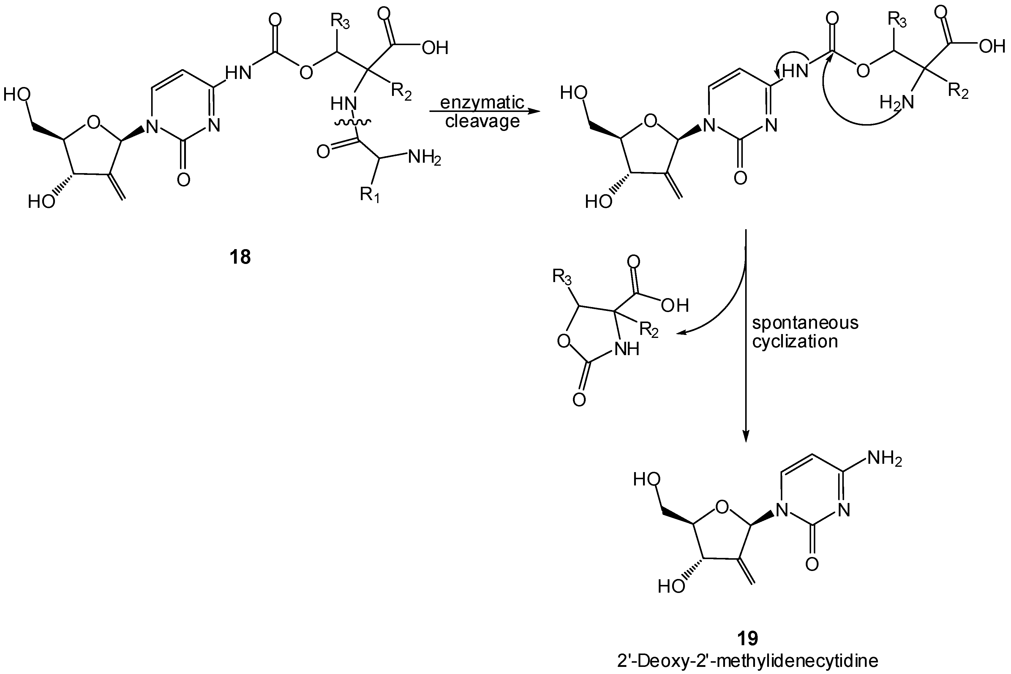 Molecules 12 02484 g013 550