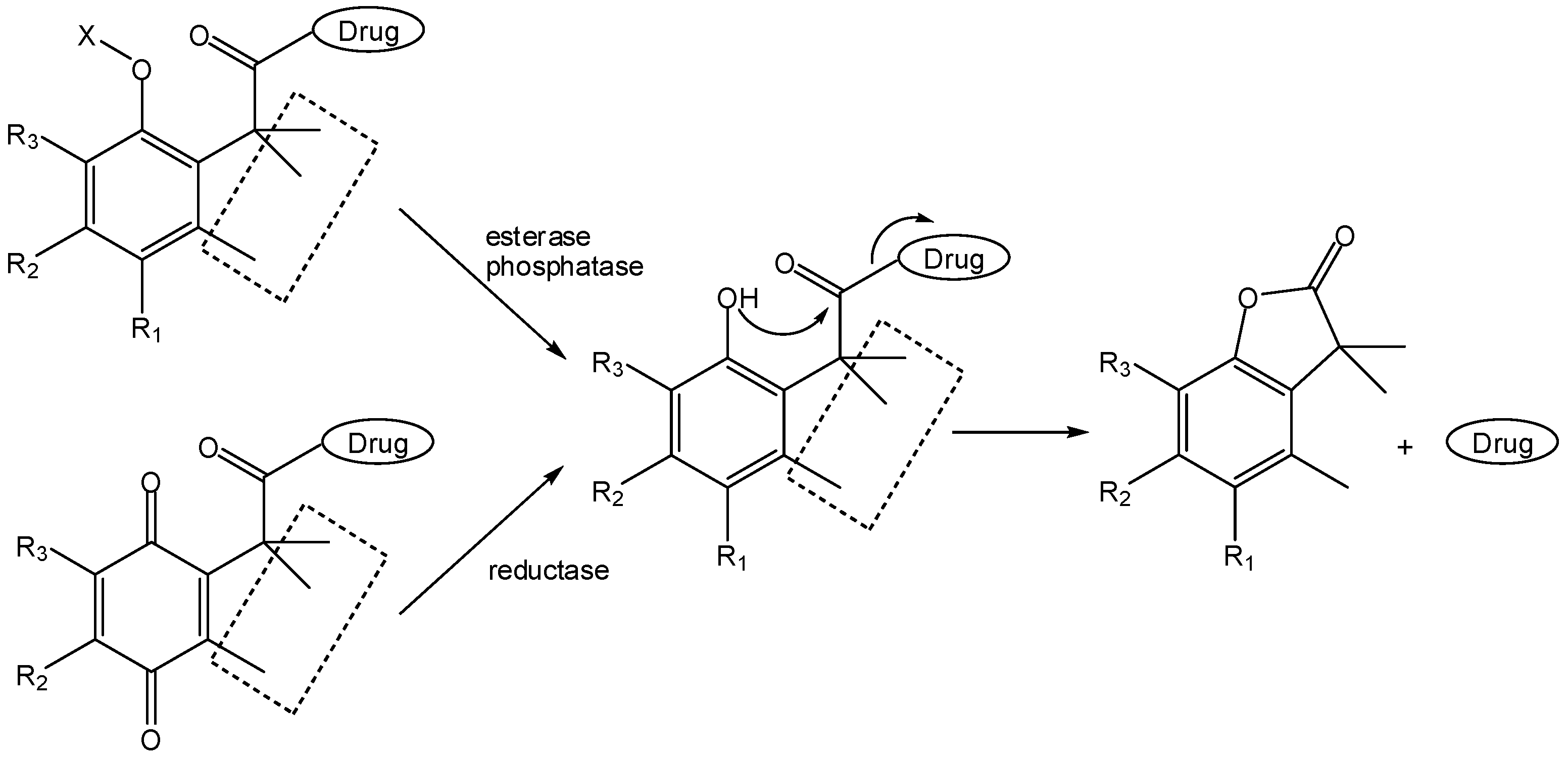 Molecules 12 02484 g016 550