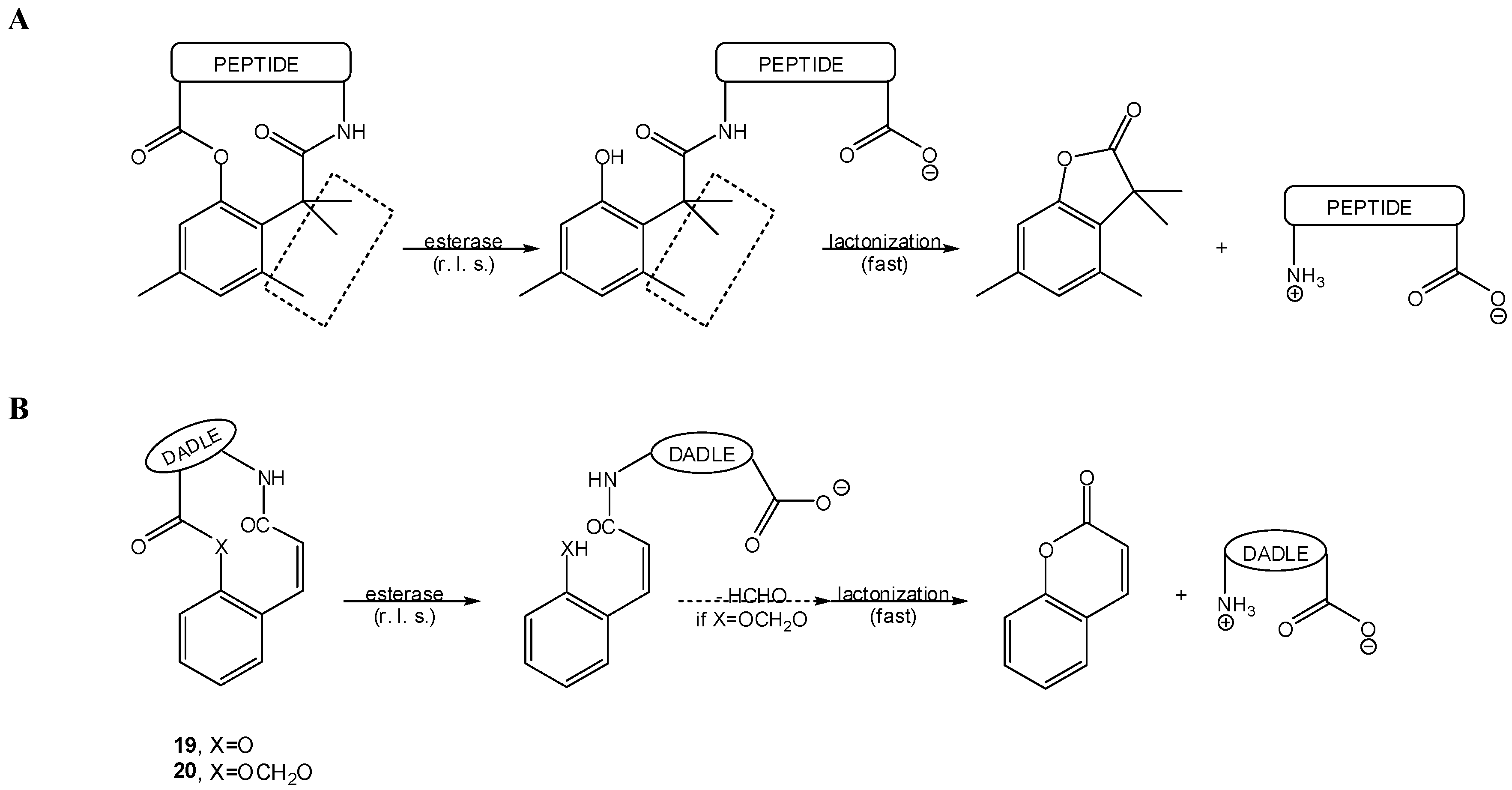Molecules 12 02484 g017 550