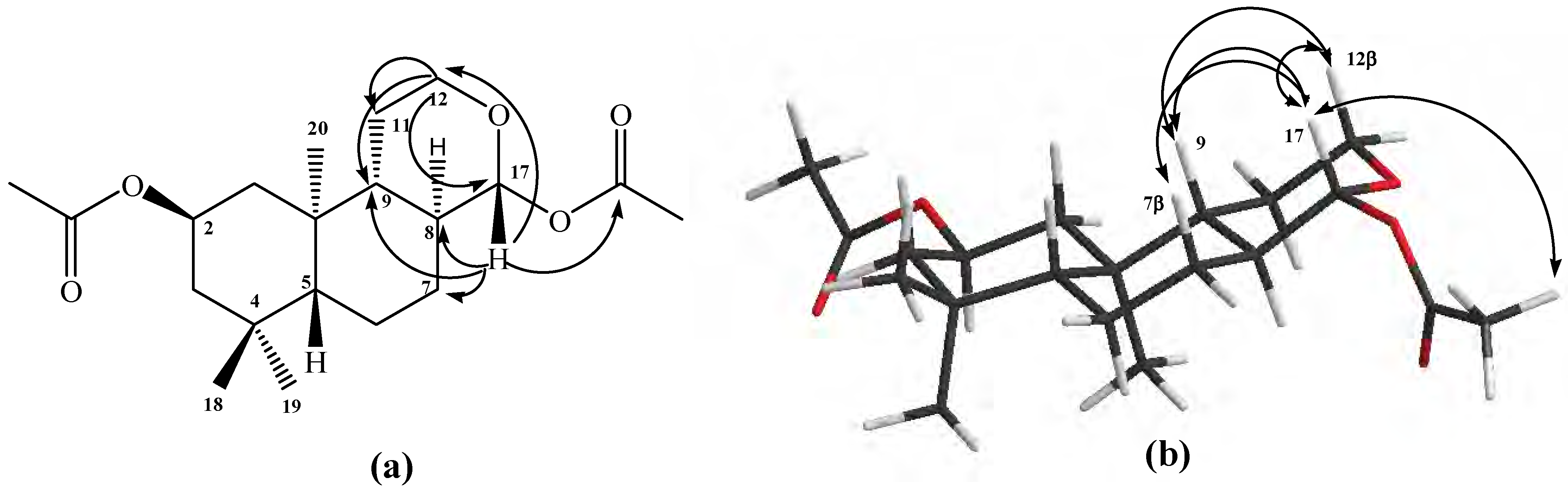 Molecules 12 02605 g003 550