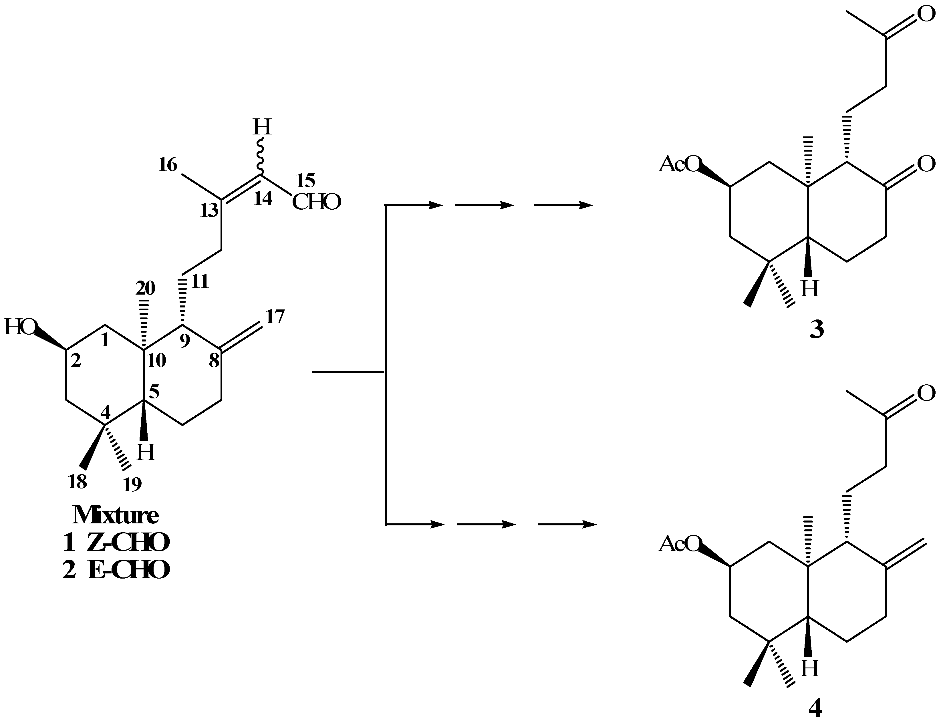 Molecules 12 02605 g004 550