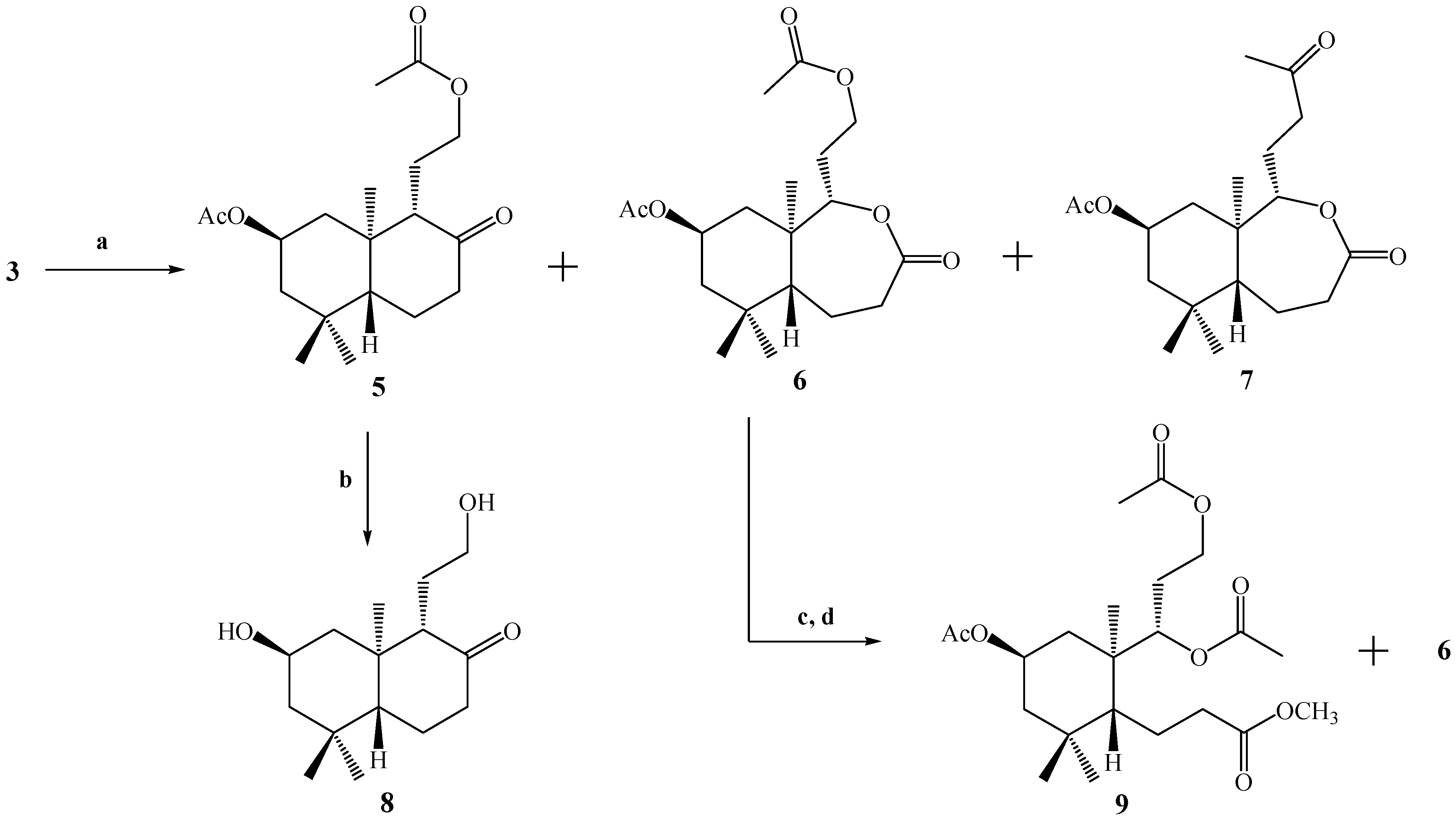 Molecules 12 02605 g005 550