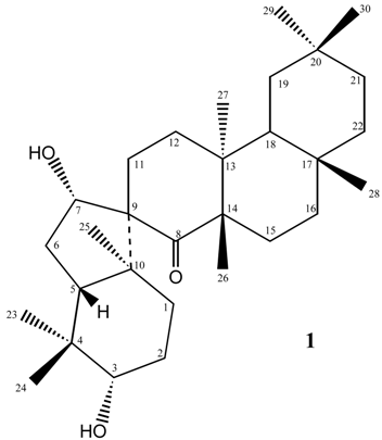 Molecules 13 00405 i001