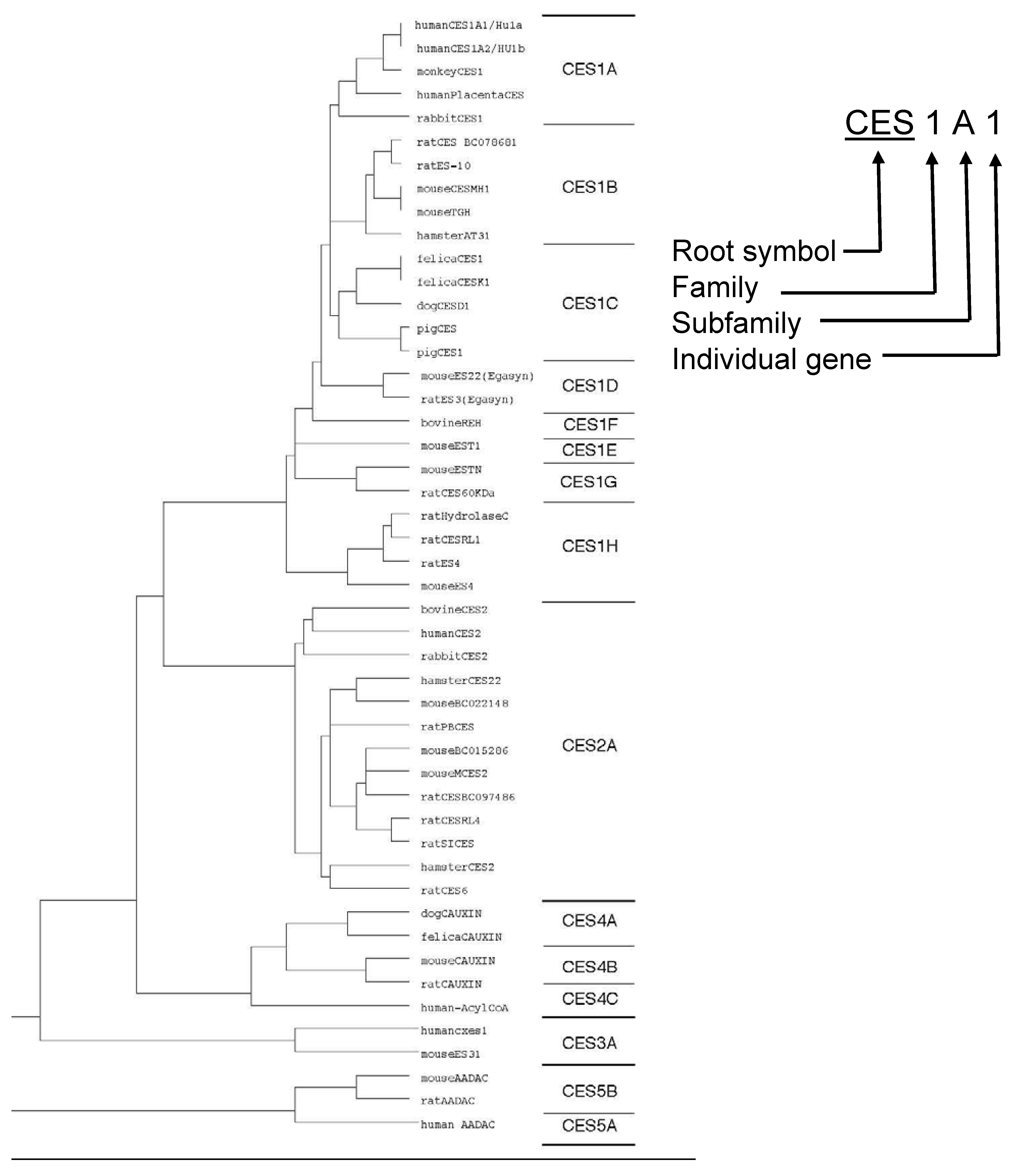 Molecules 13 00412 g002 550