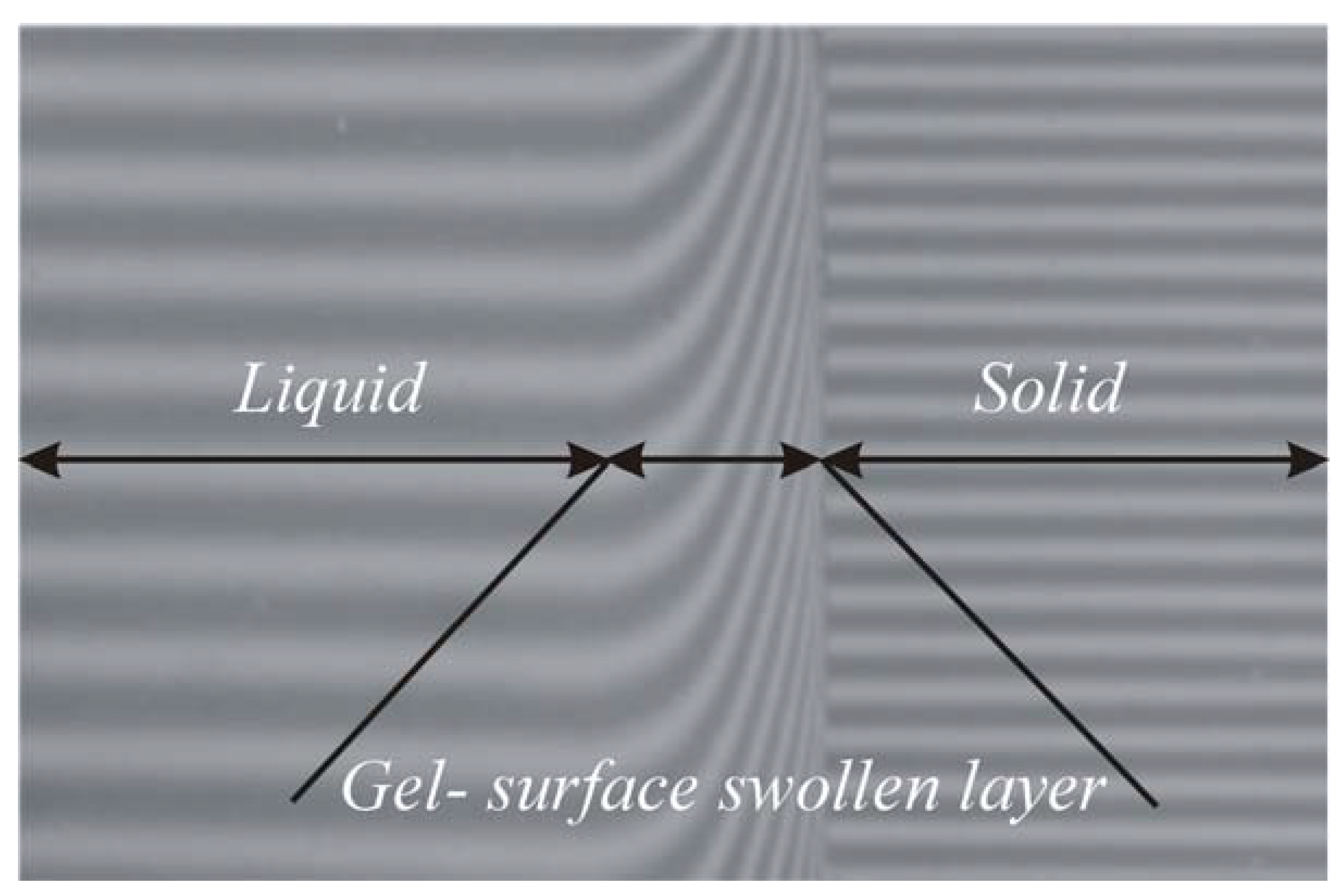 Molecules 13 01025 g008 550