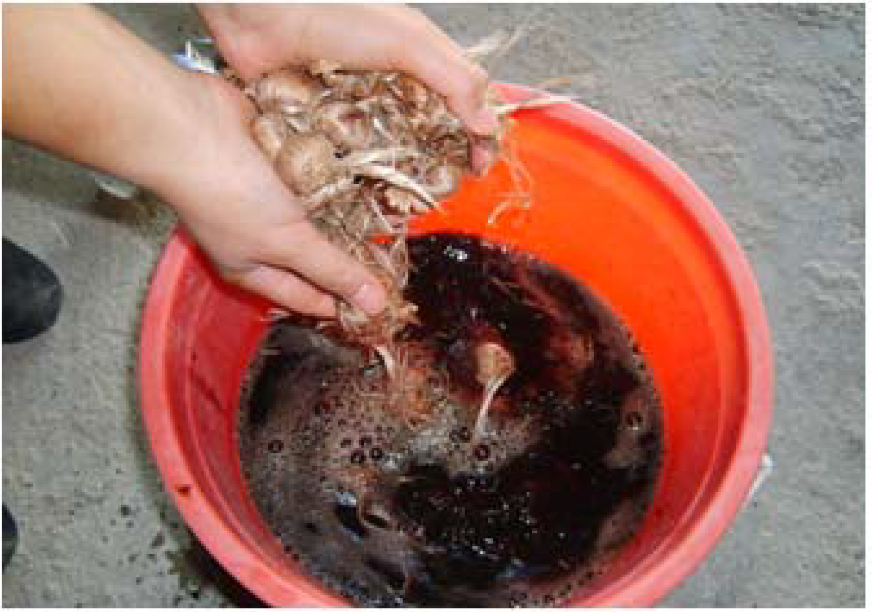 Molecules 13 01135 g003 550