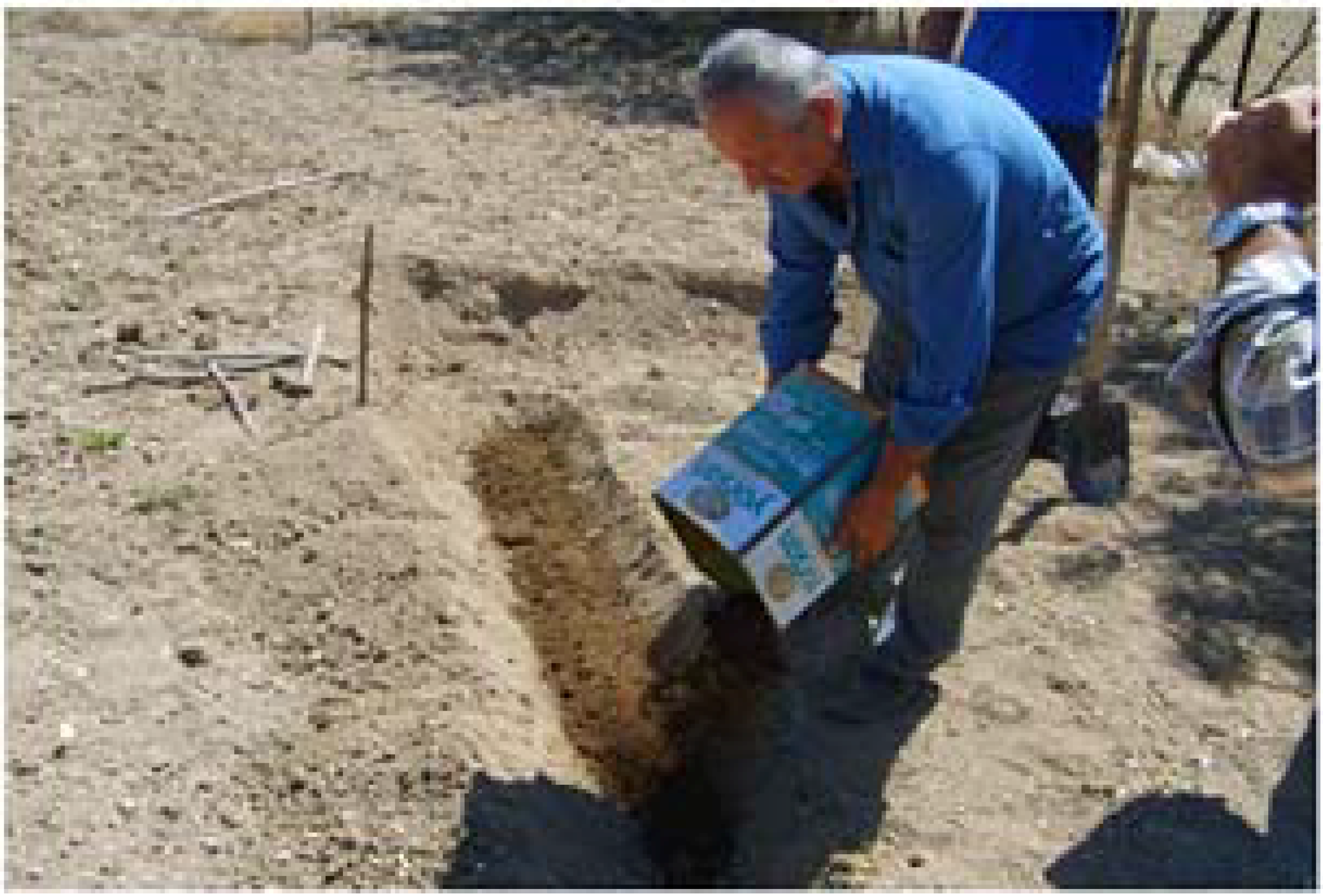 Molecules 13 01135 g005 550