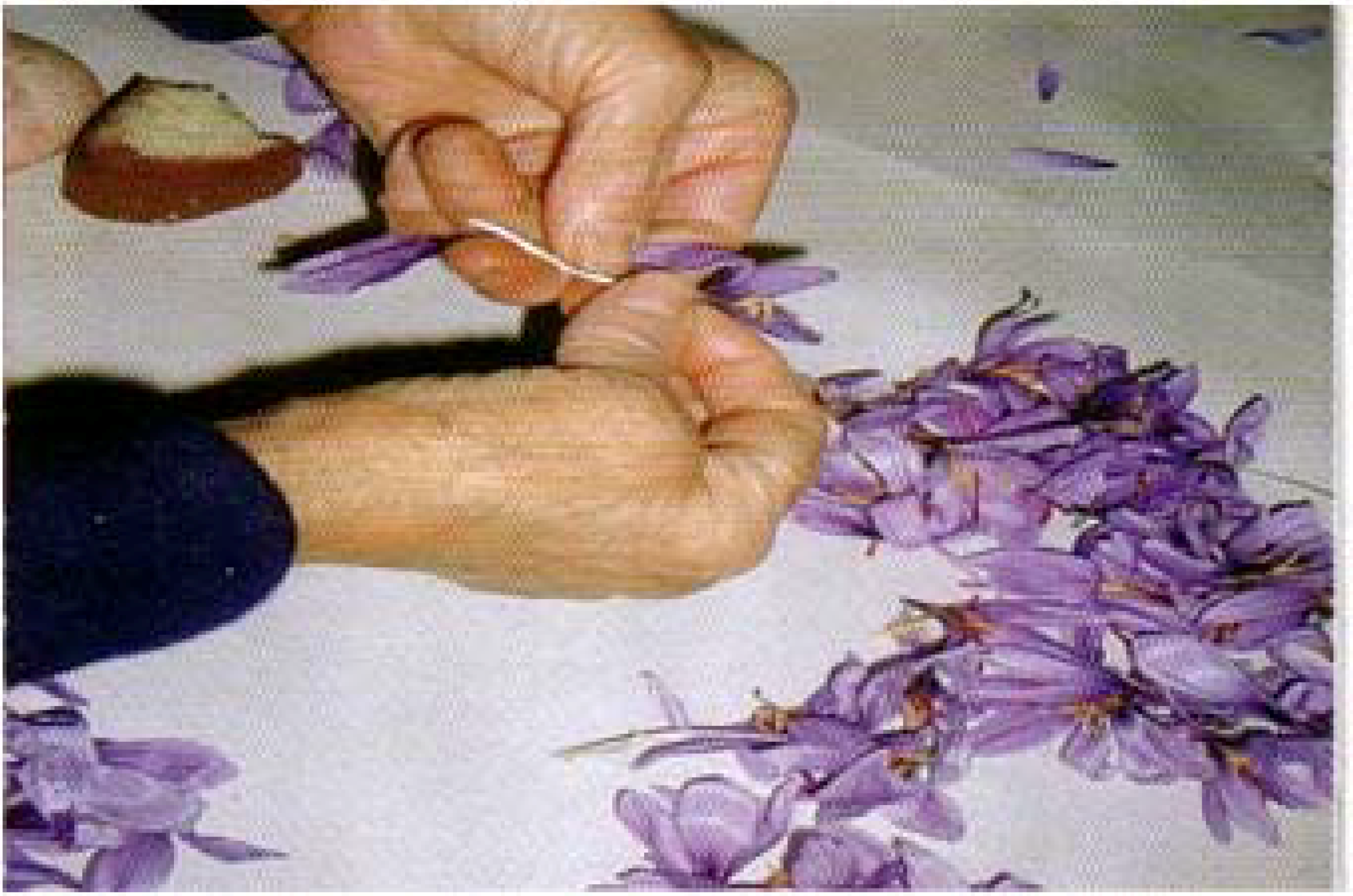 Molecules 13 01135 g008 550