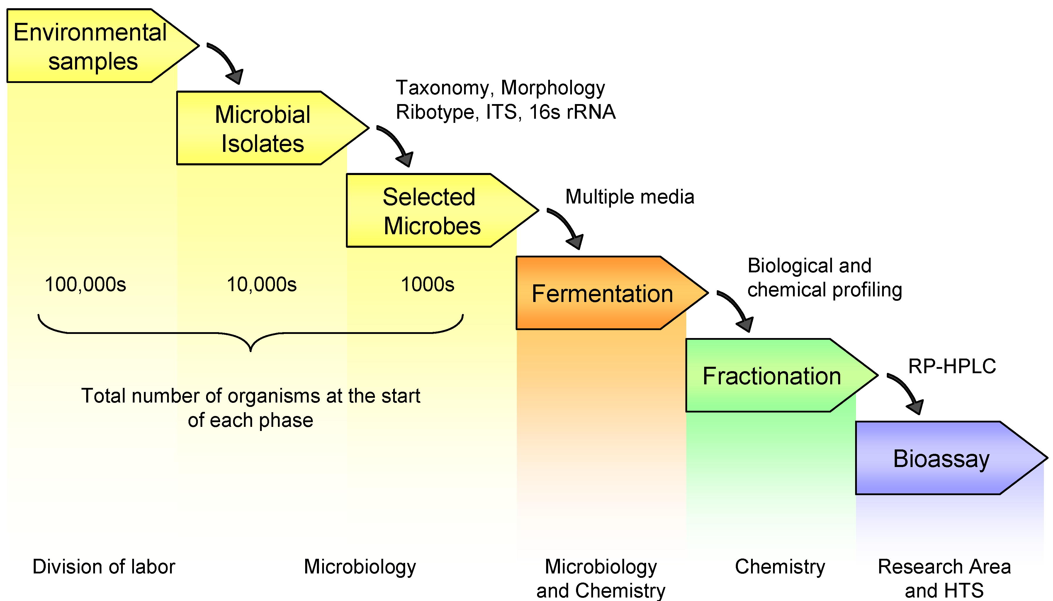 Molecules 13 01406 g001 550