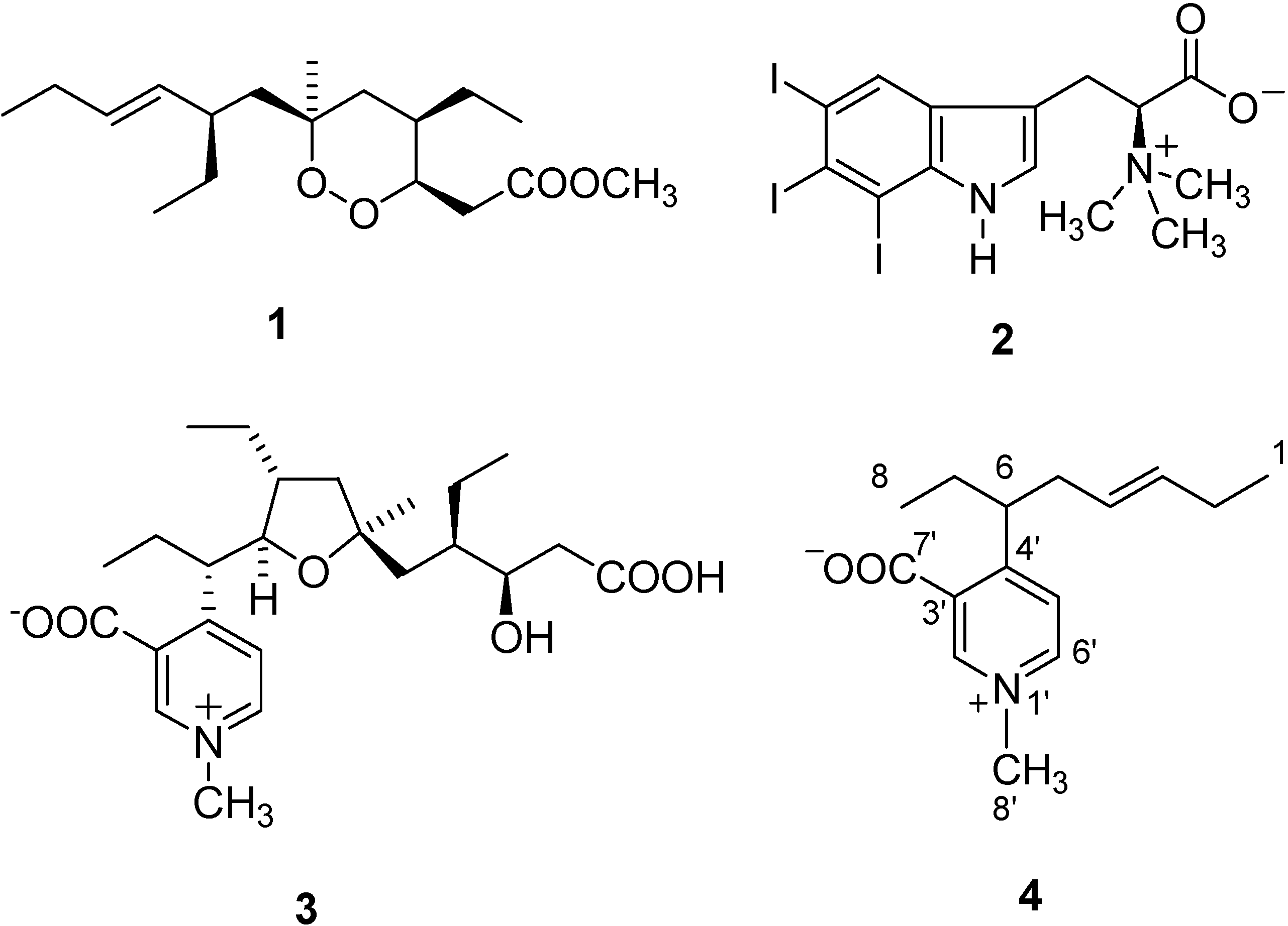 Molecules 13 01465 g001