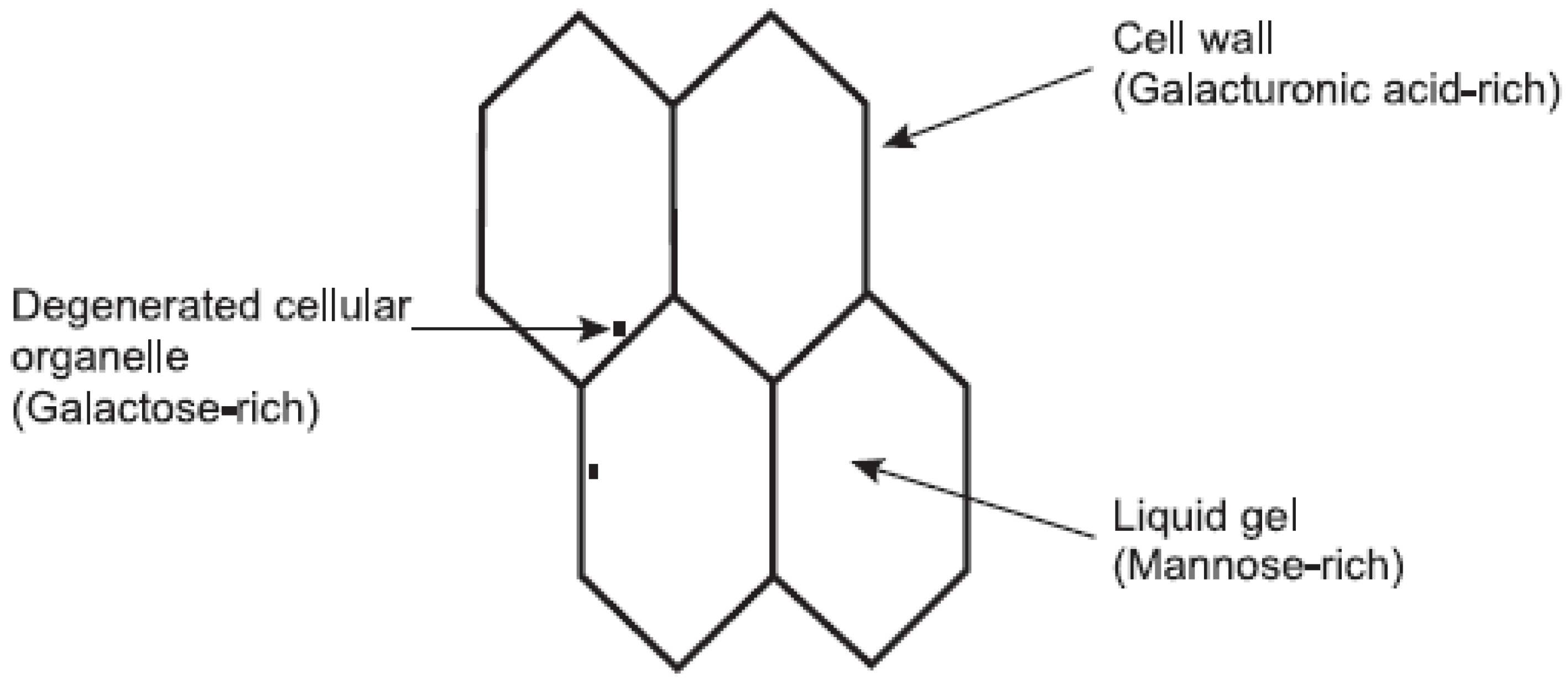 Molecules 13 01599 g001