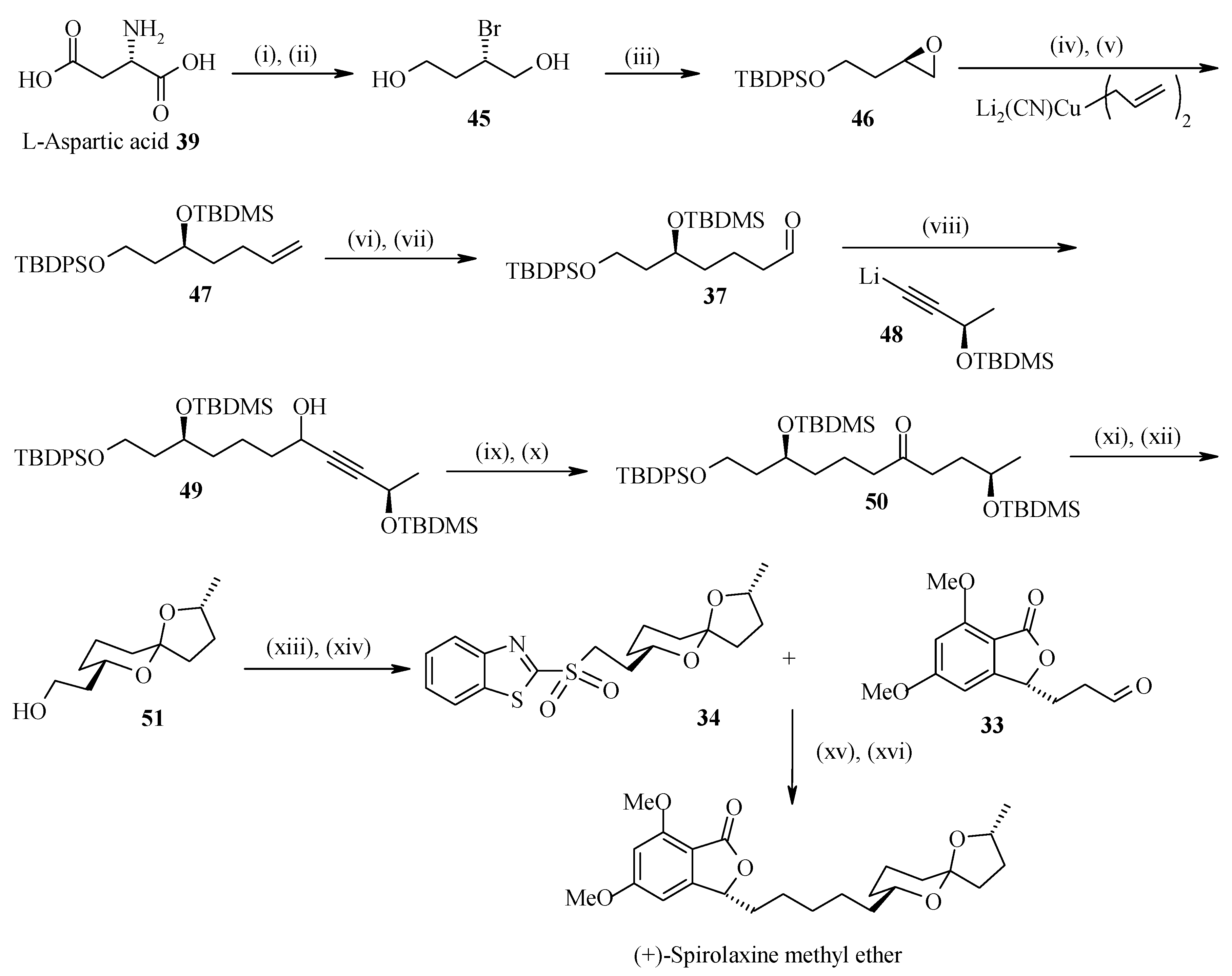 Molecules 13 01942 g014