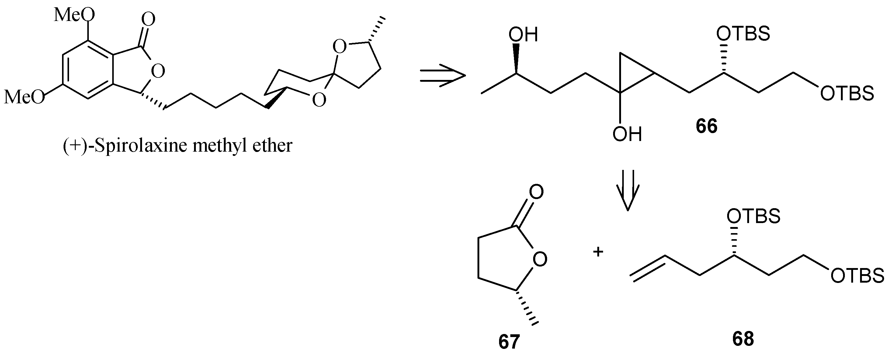Molecules 13 01942 g018