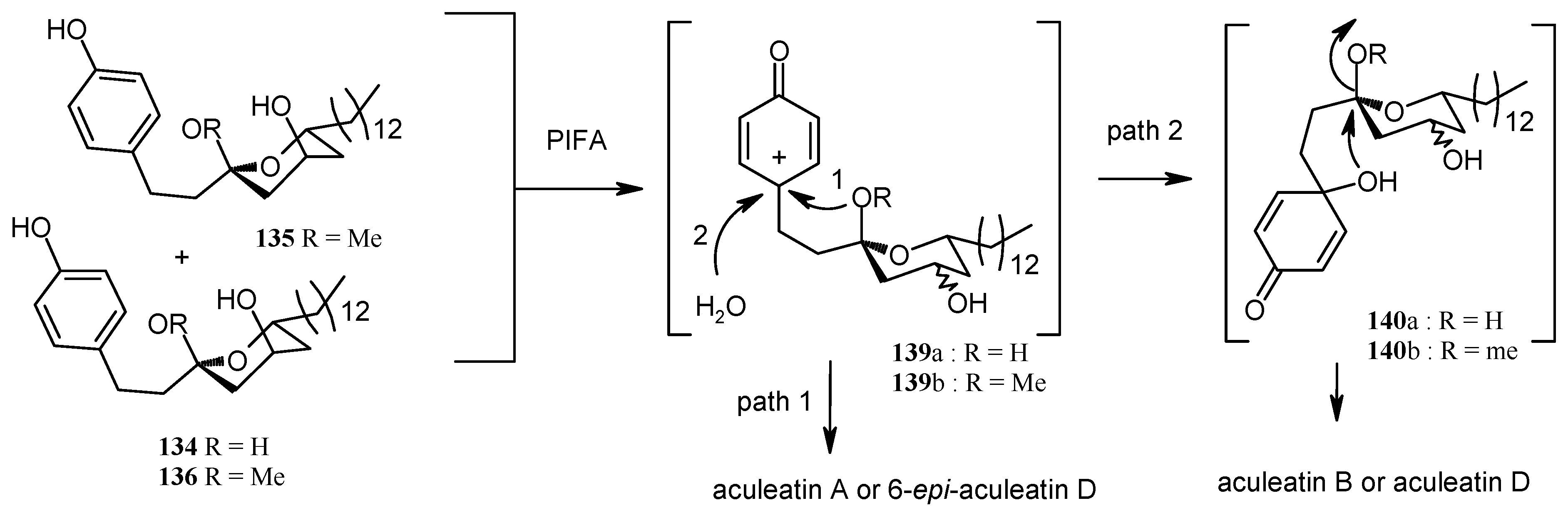 Molecules 13 01942 g034