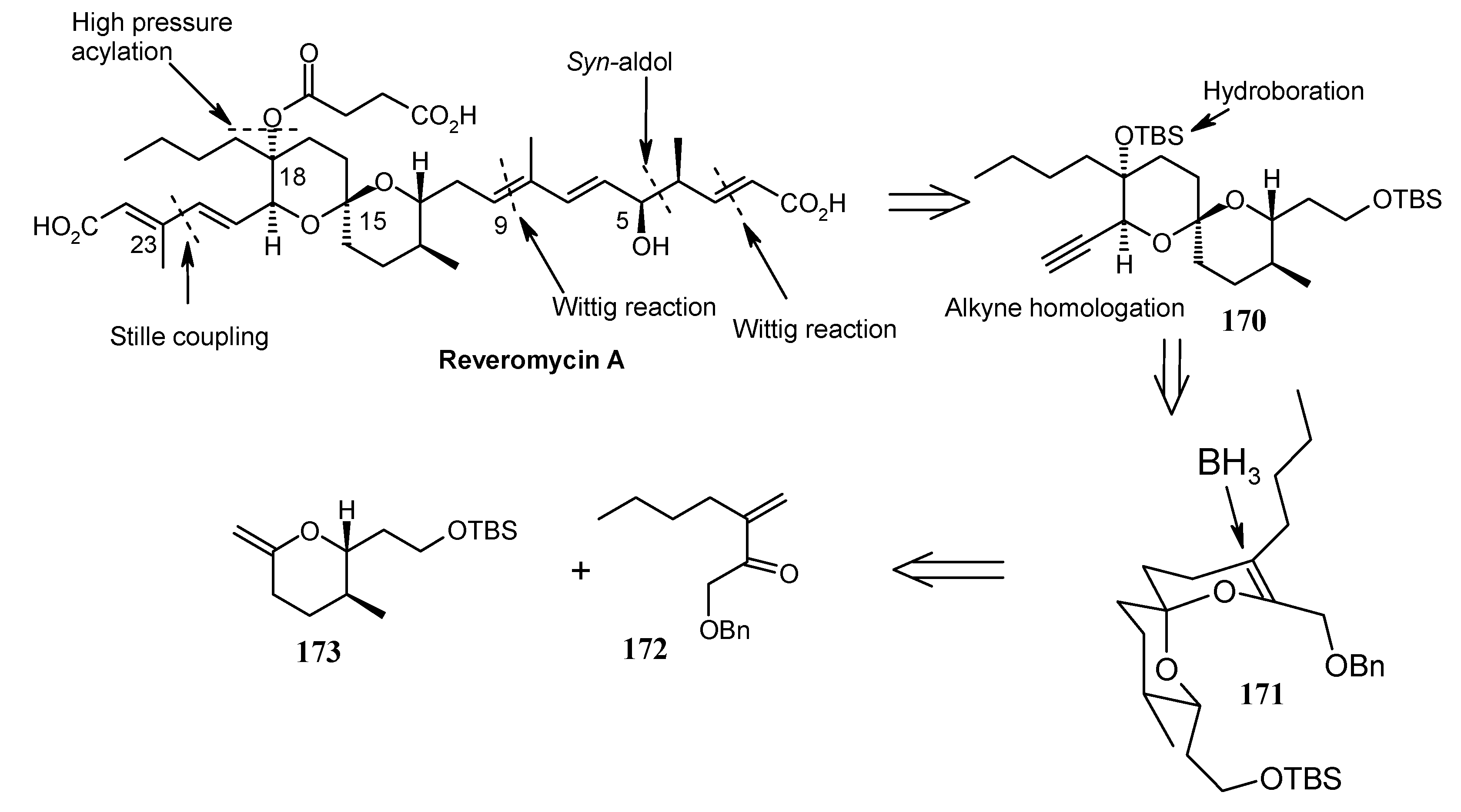 Molecules 13 01942 g042